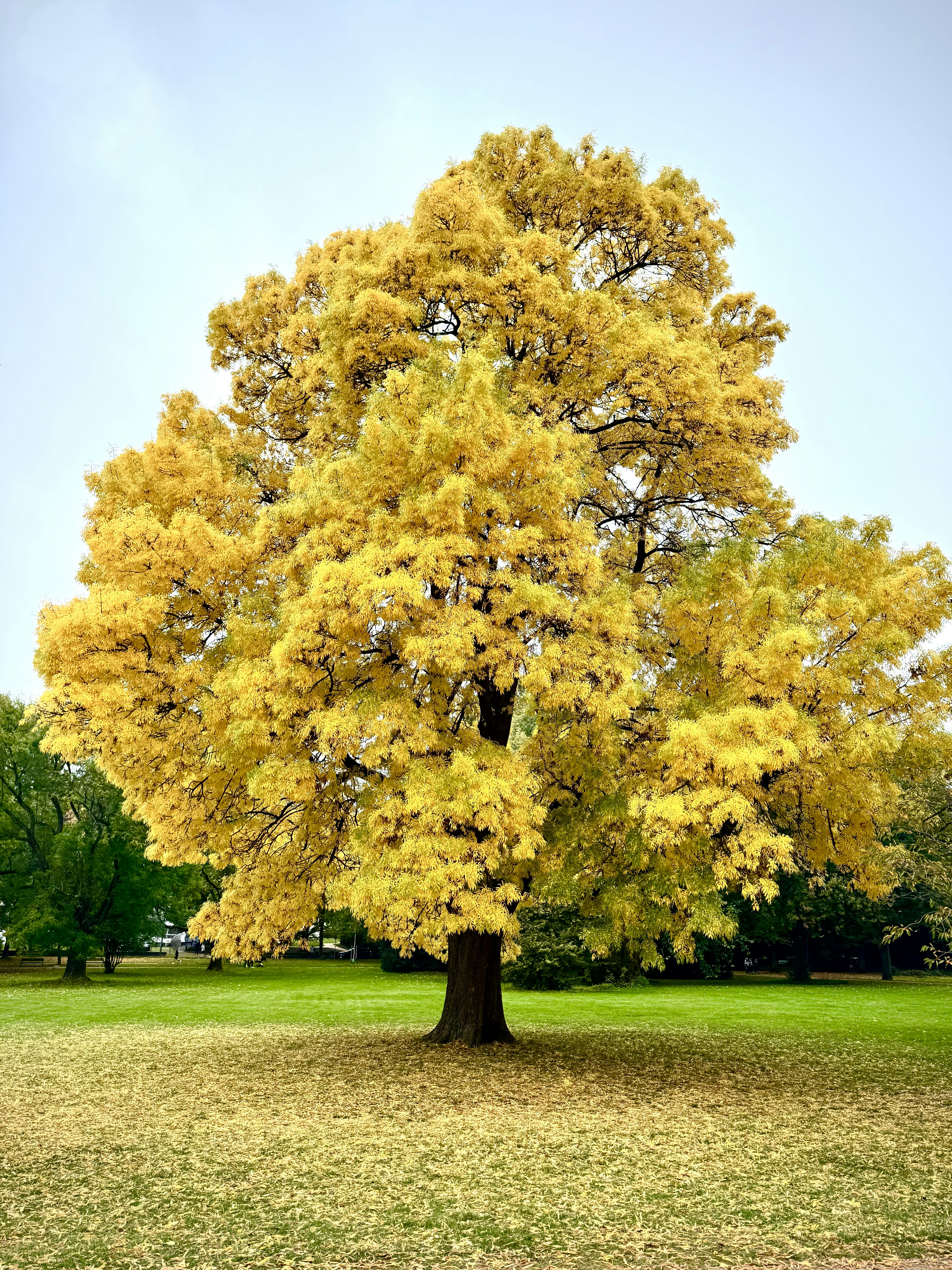 Photo by thecosmicdesigner