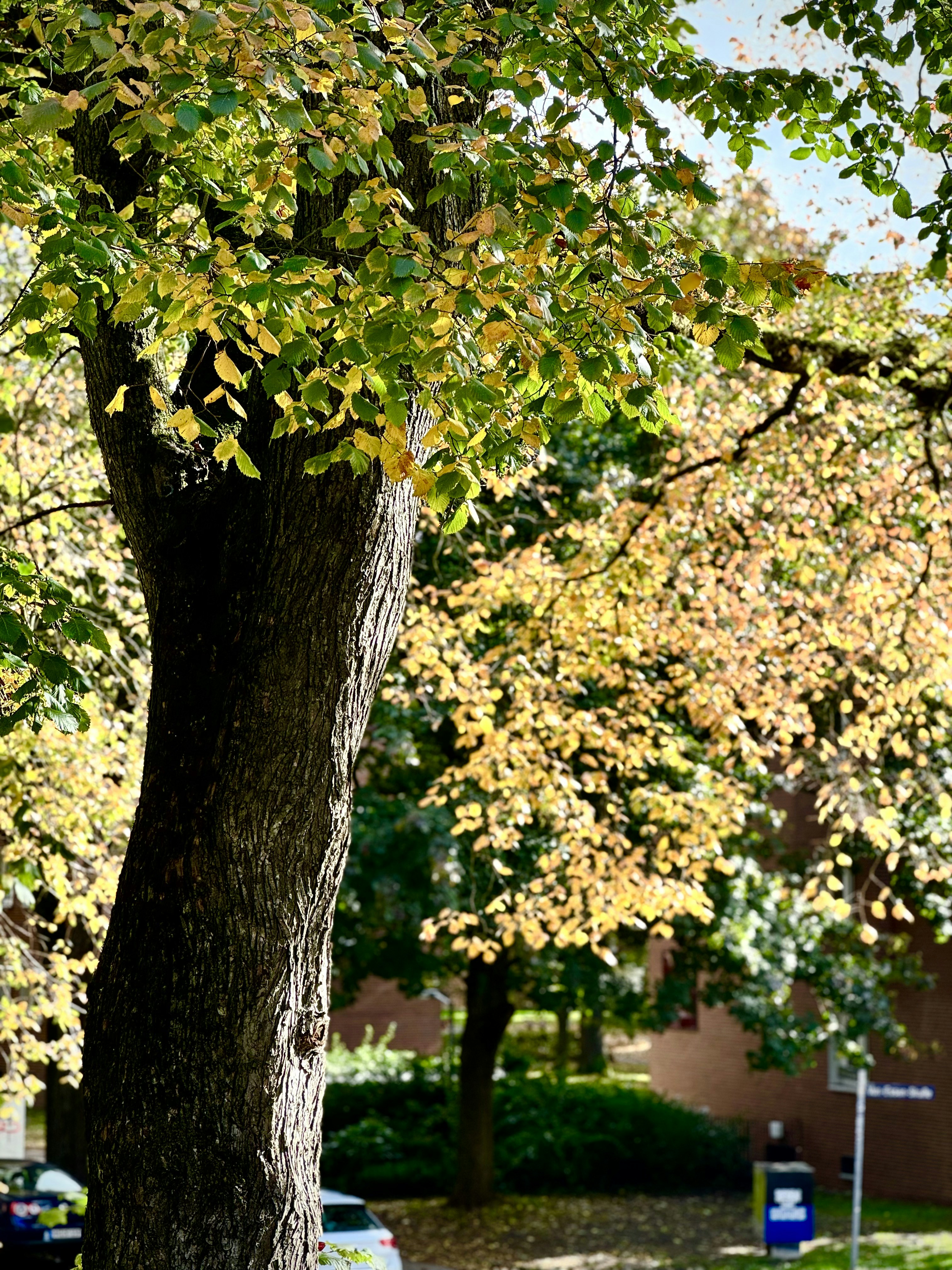 Photo by thecosmicdesigner