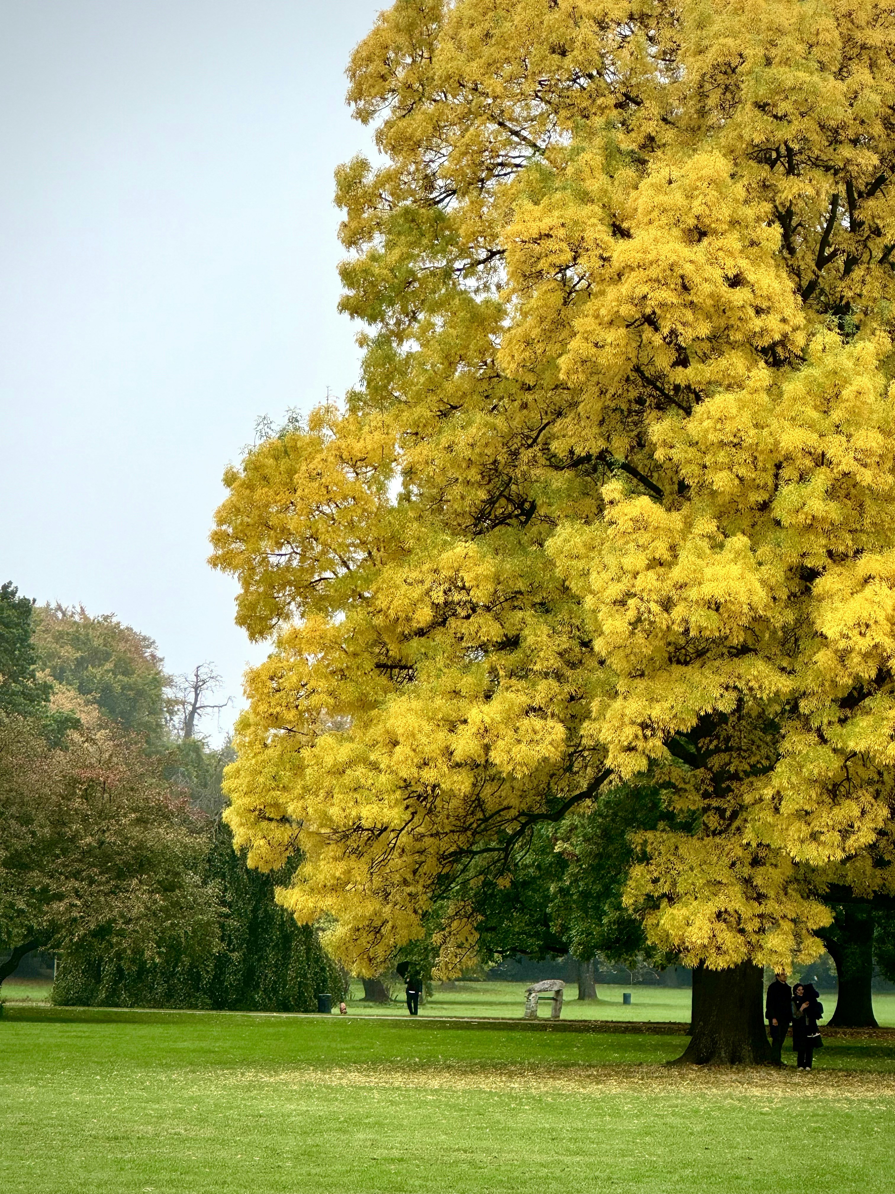 Photo by thecosmicdesigner