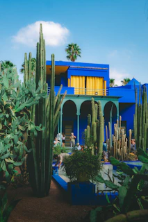 Blue building with cacti and people in courtyard