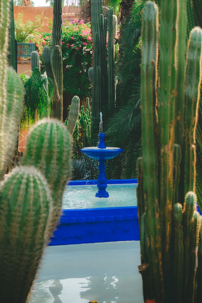 Fontaine bleu cobalt entourée de cactus au Jardin Majorelle