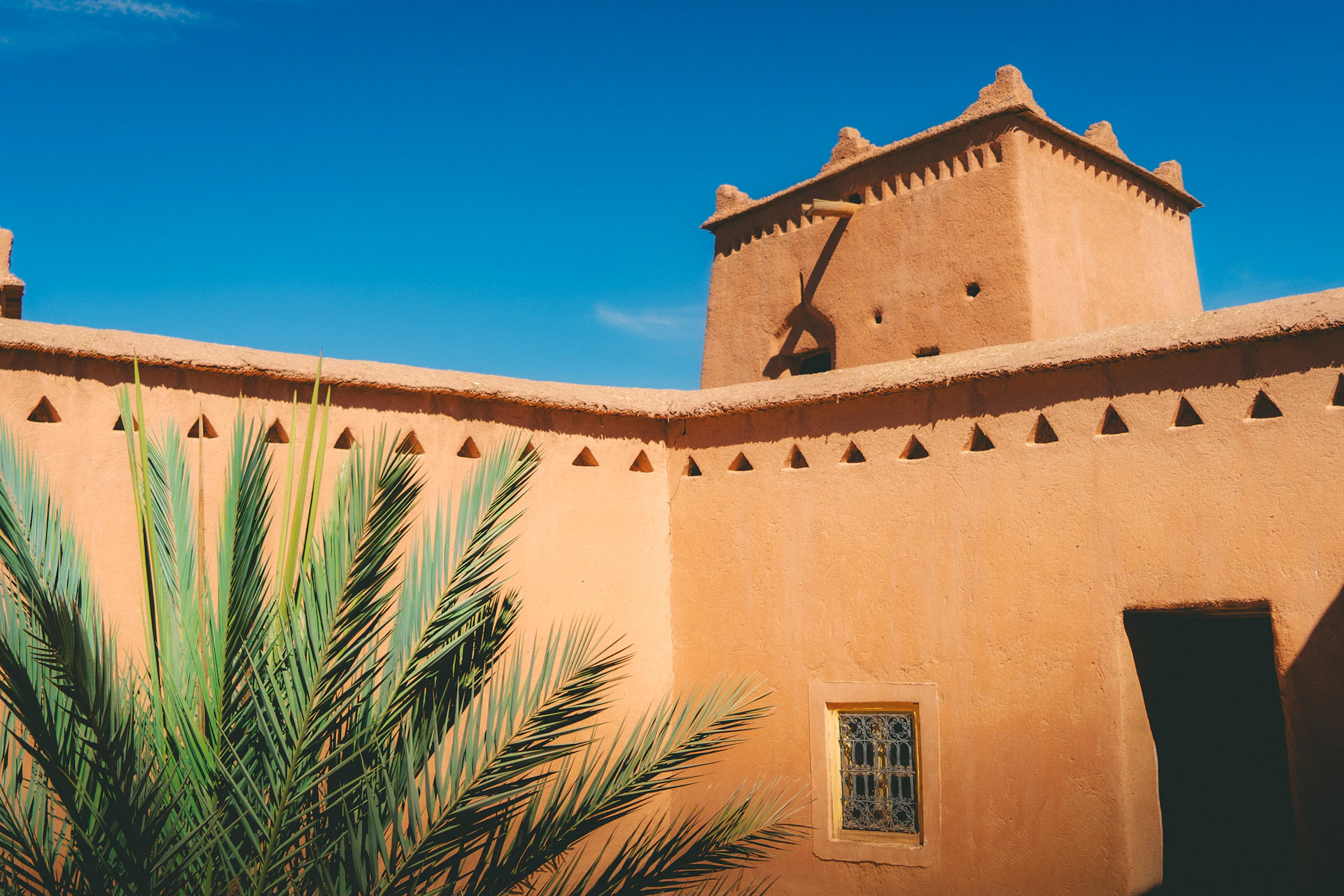 Traditional moroccan architecture with palm tree