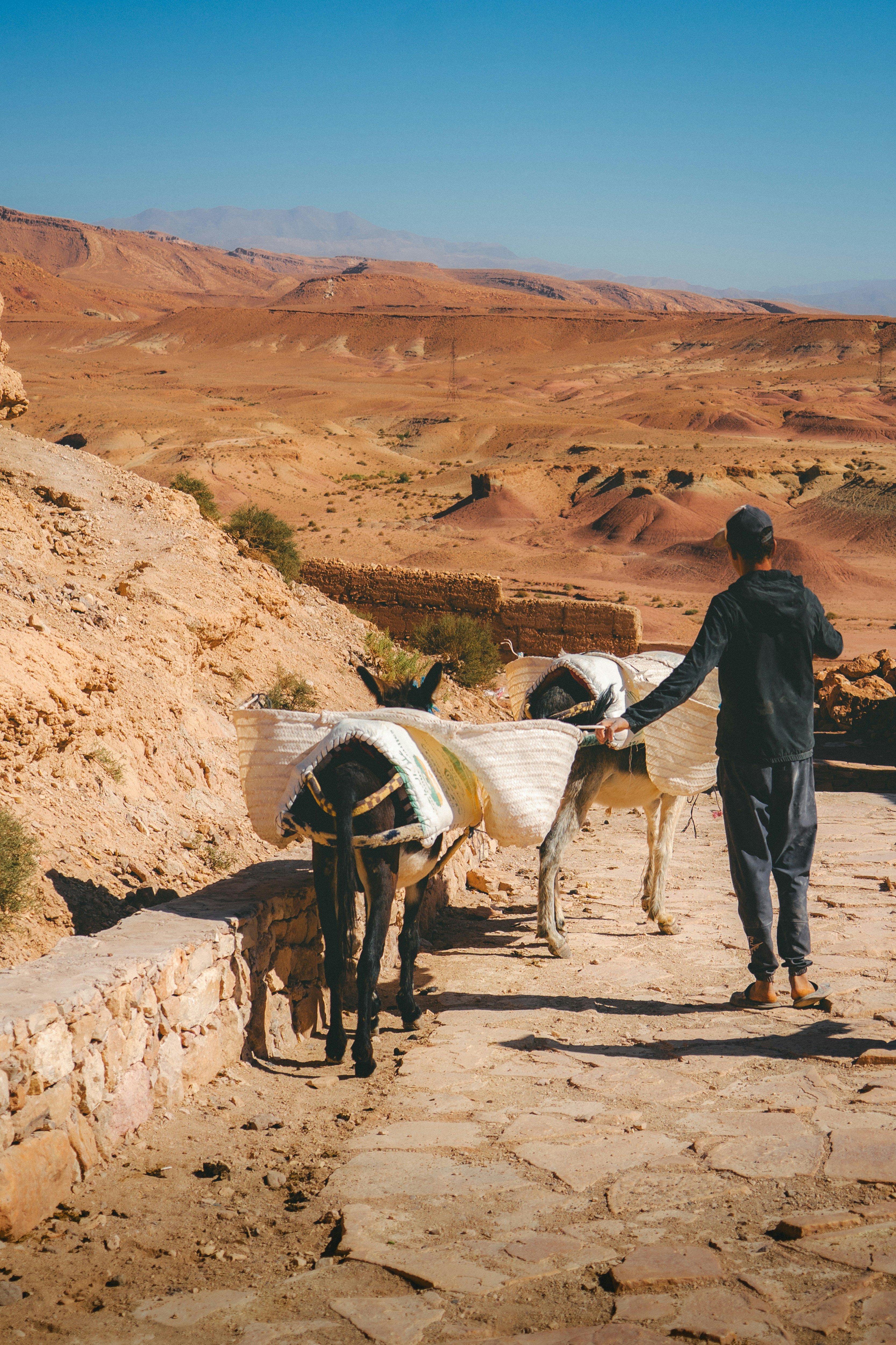 Mann führt Esel durch trockene Wüstenlandschaft