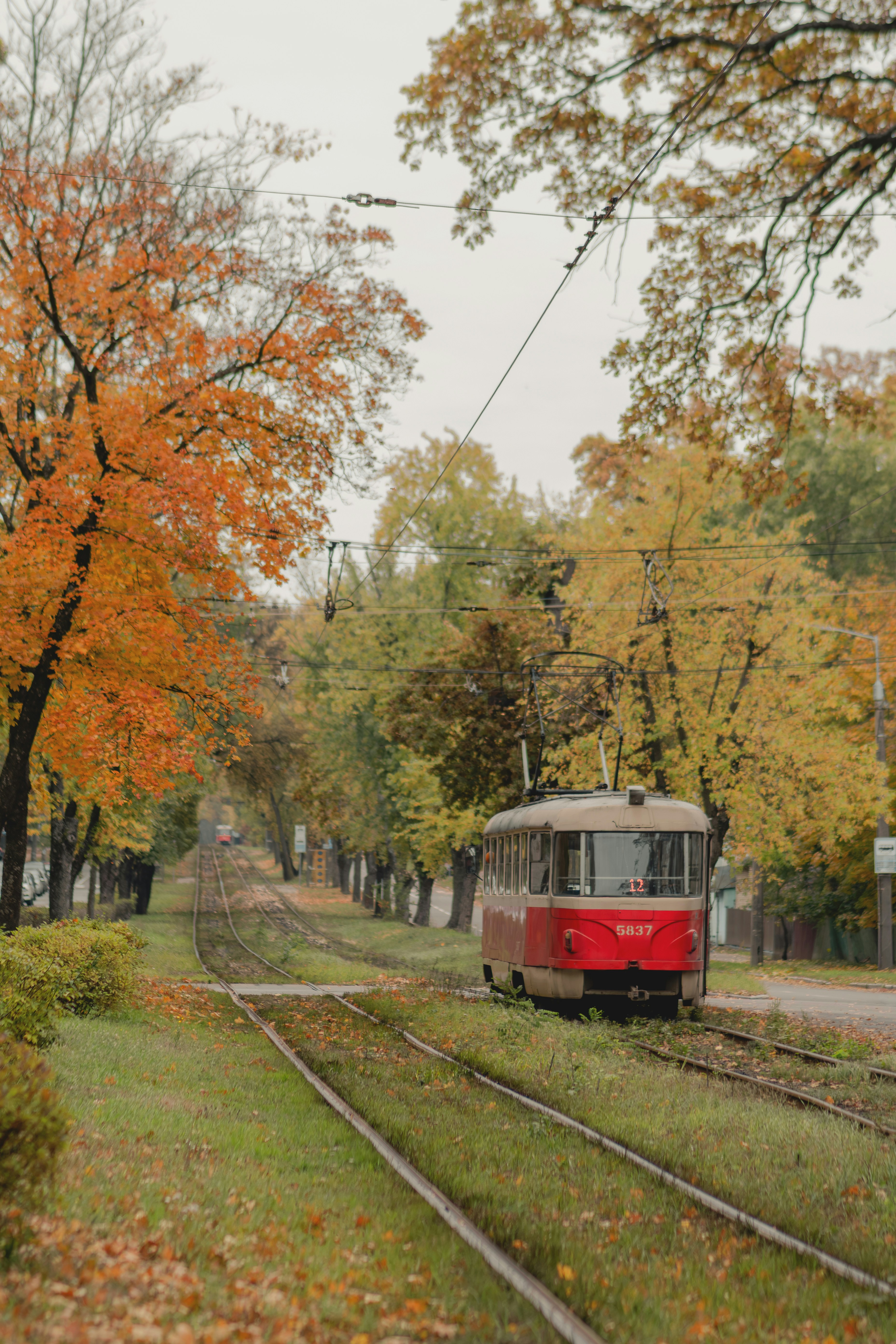 Photo by eugenivy_now