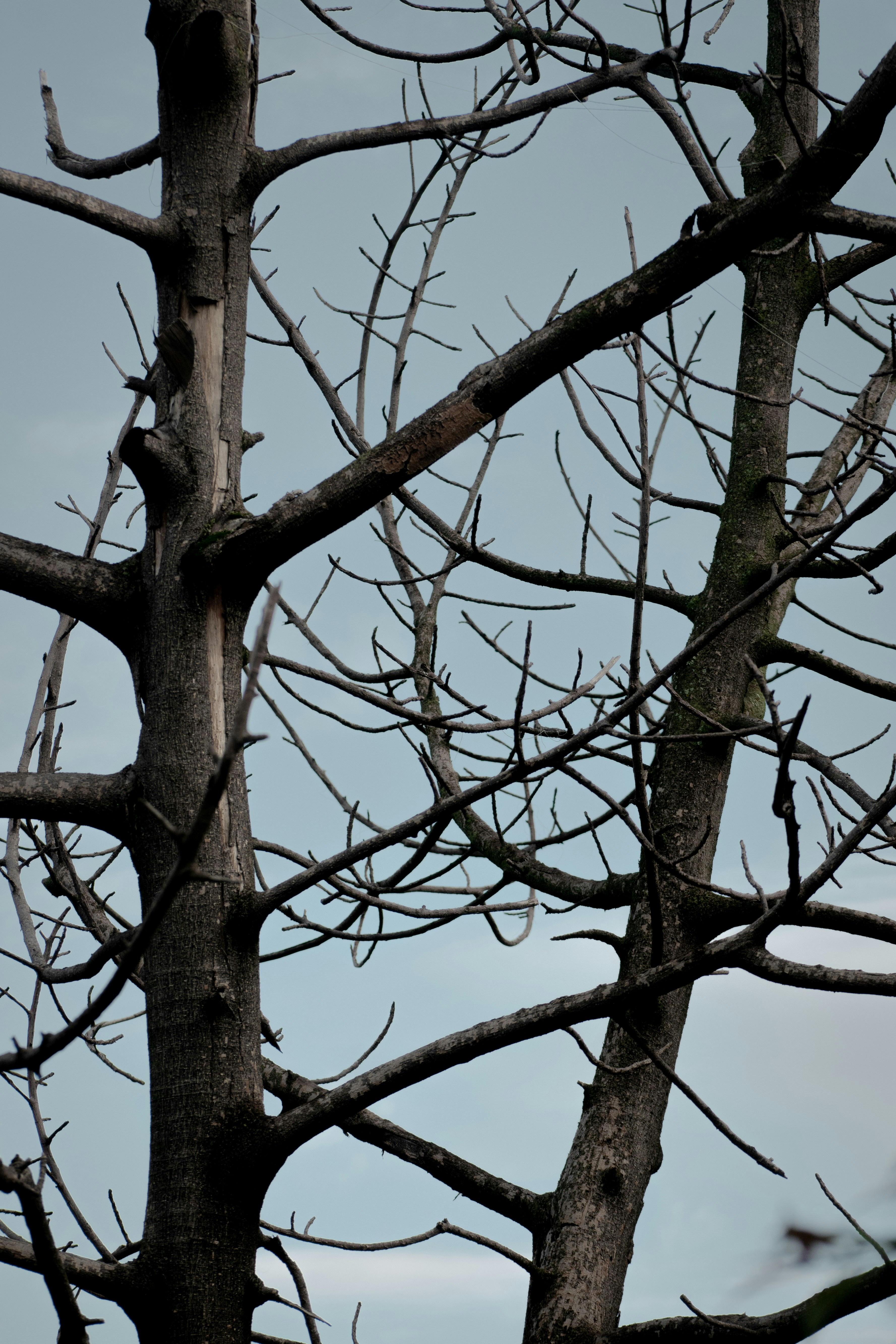 Photo by sebaslaverde_nkn