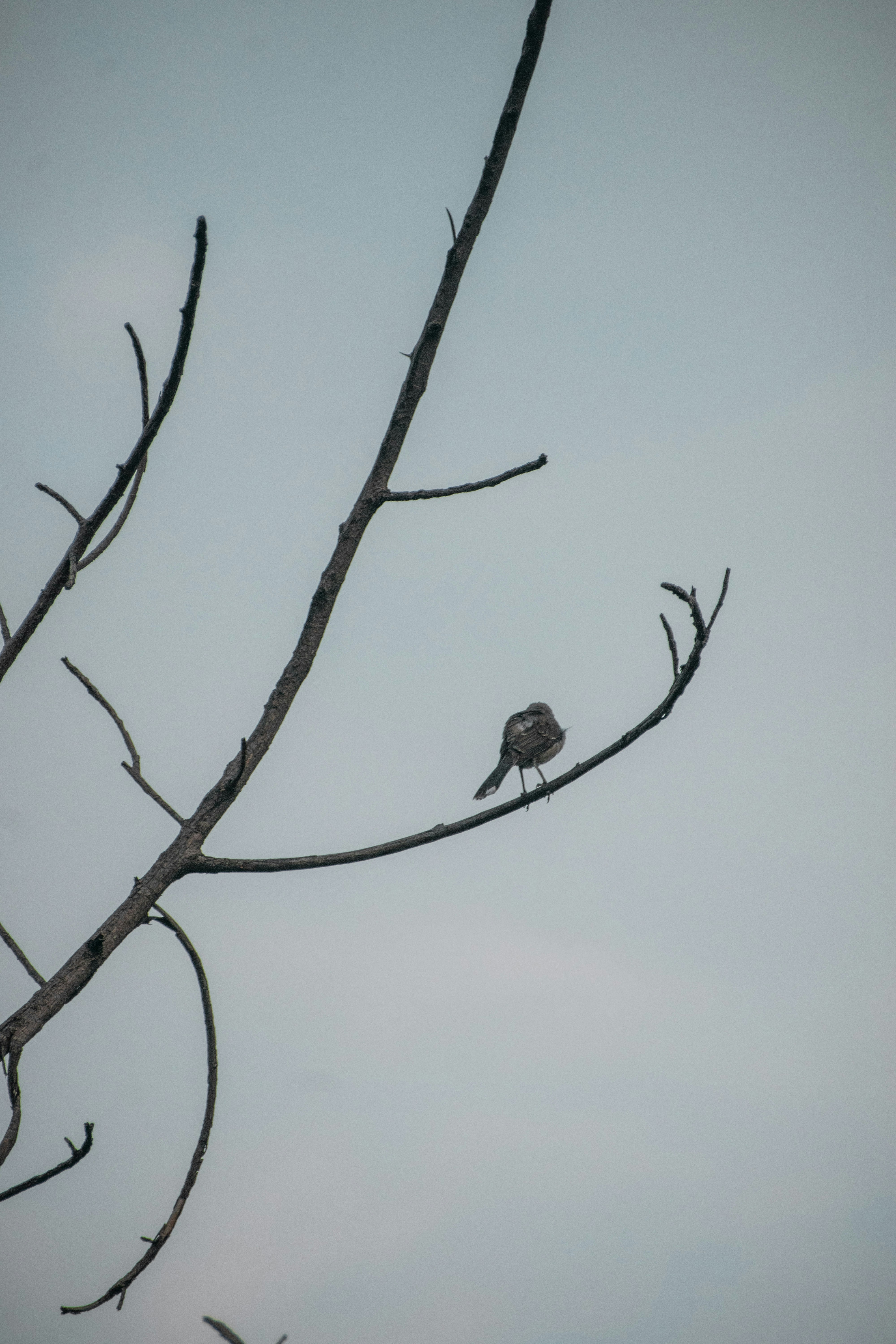 Photo by sebaslaverde_nkn