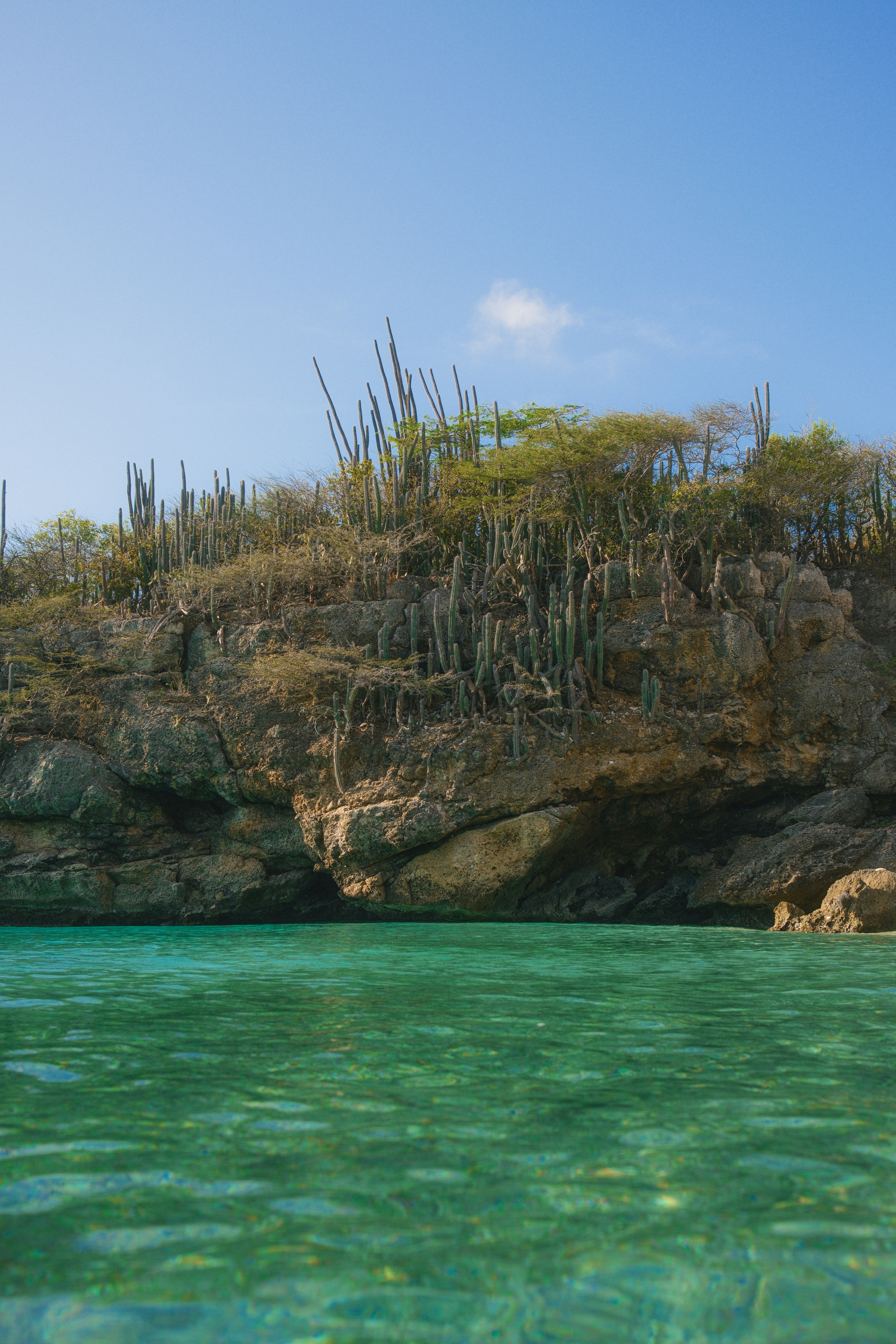 Money-Saving Strategies for Caribbean Liveaboard Adventures