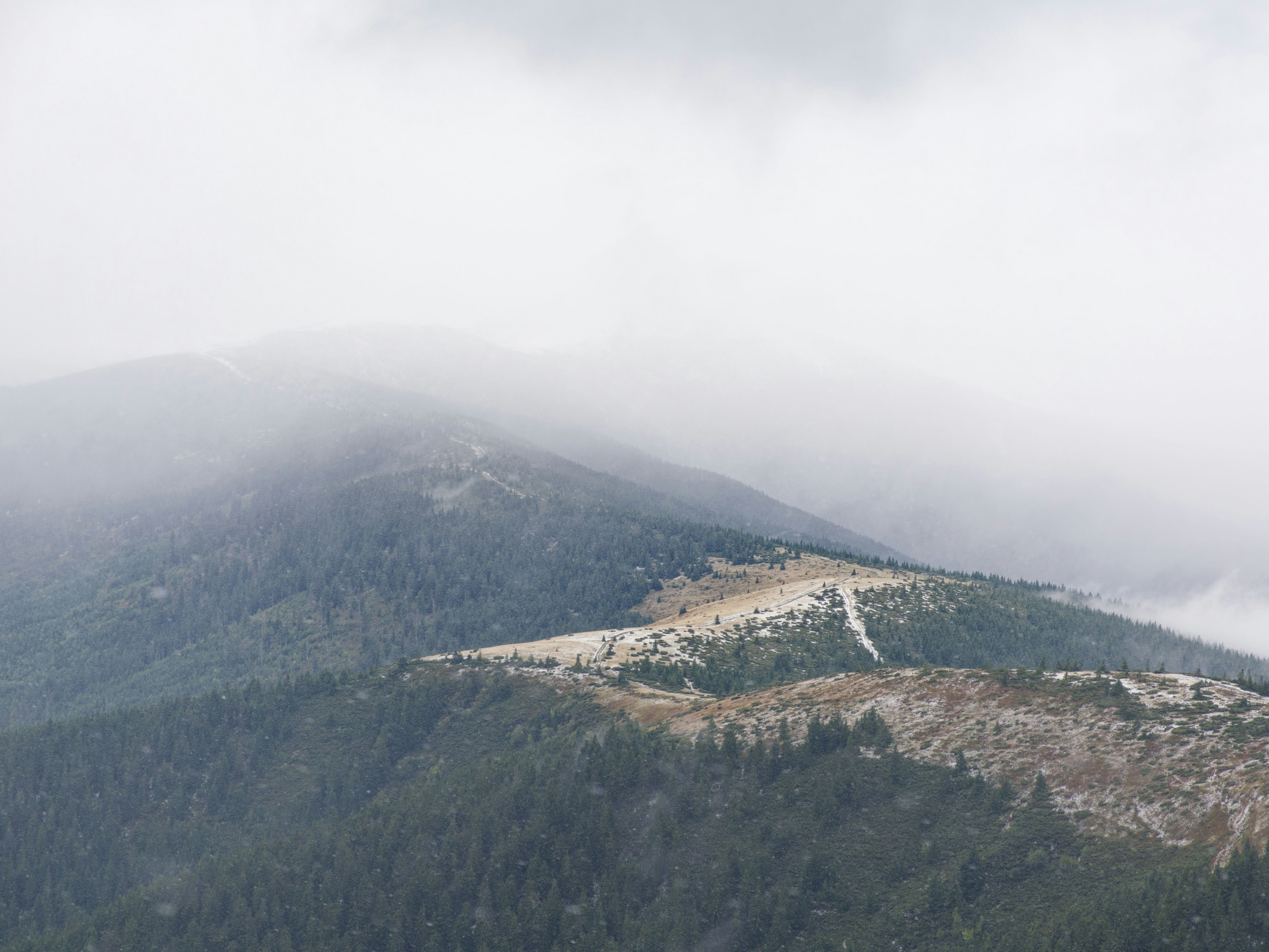 Photo by illes_cristi