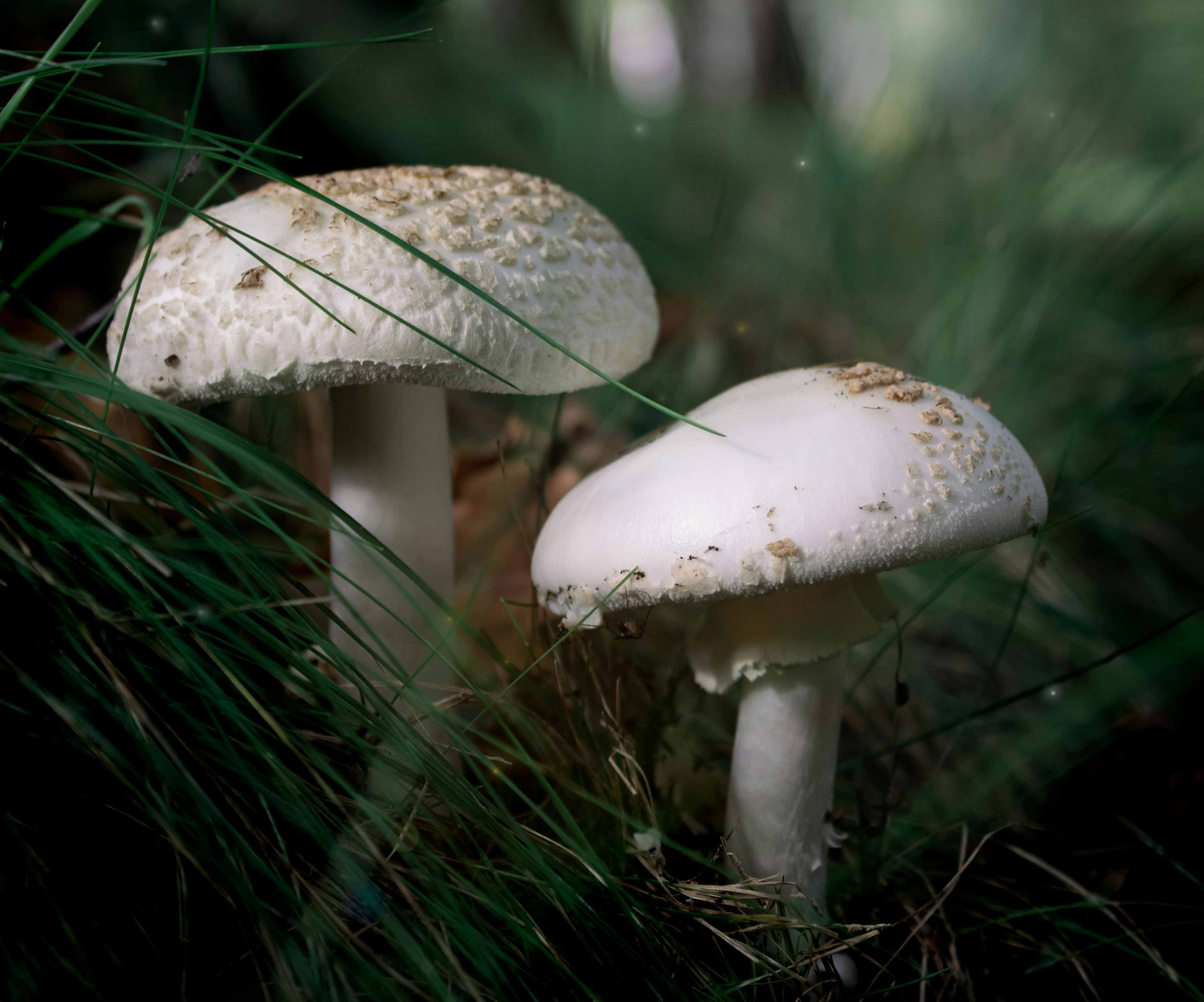 Photo by zuzkafotografuje