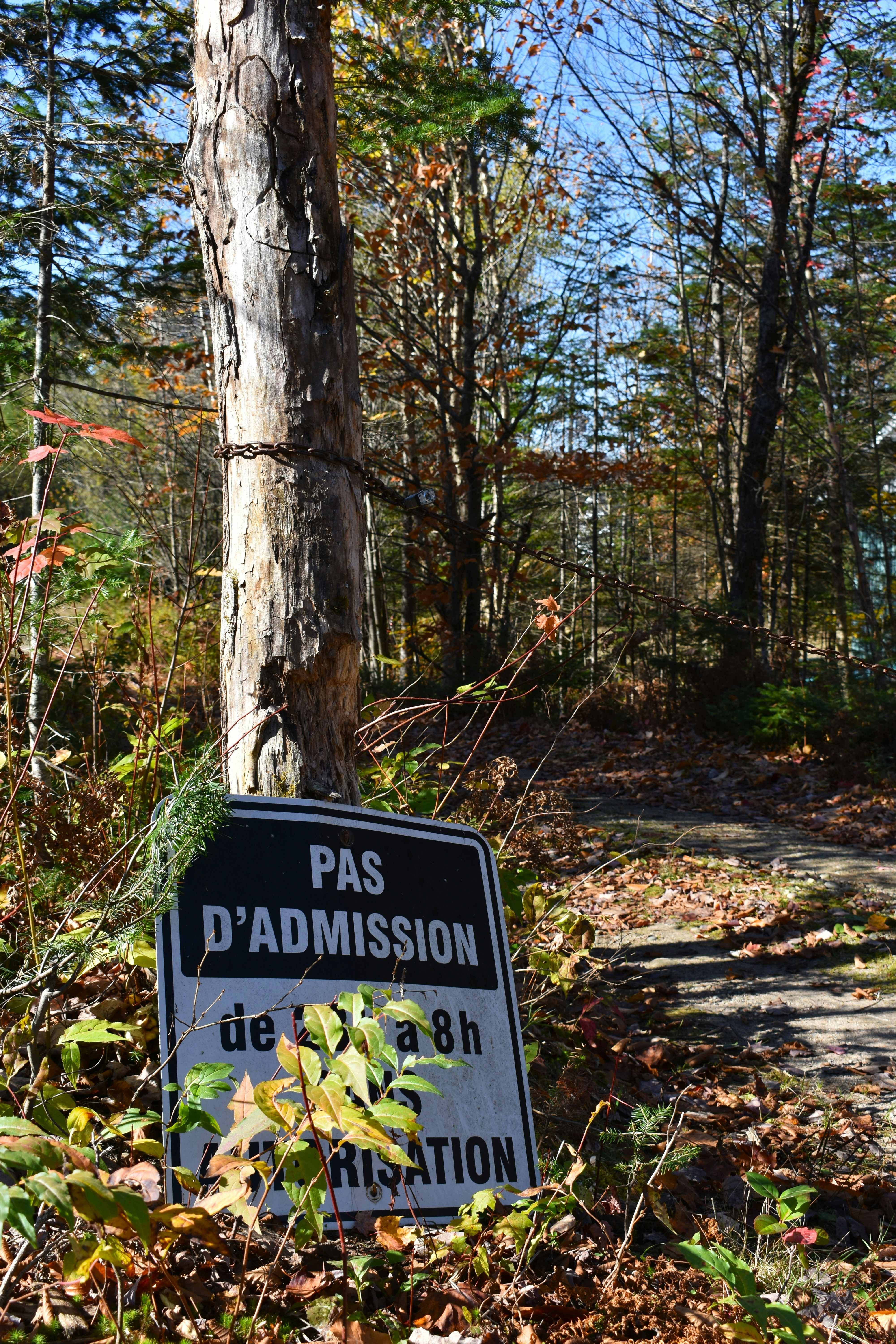 accessible nature wallpaper, wallpaper, Accessible Campgrounds: Enjoying the Outdoors for All 5