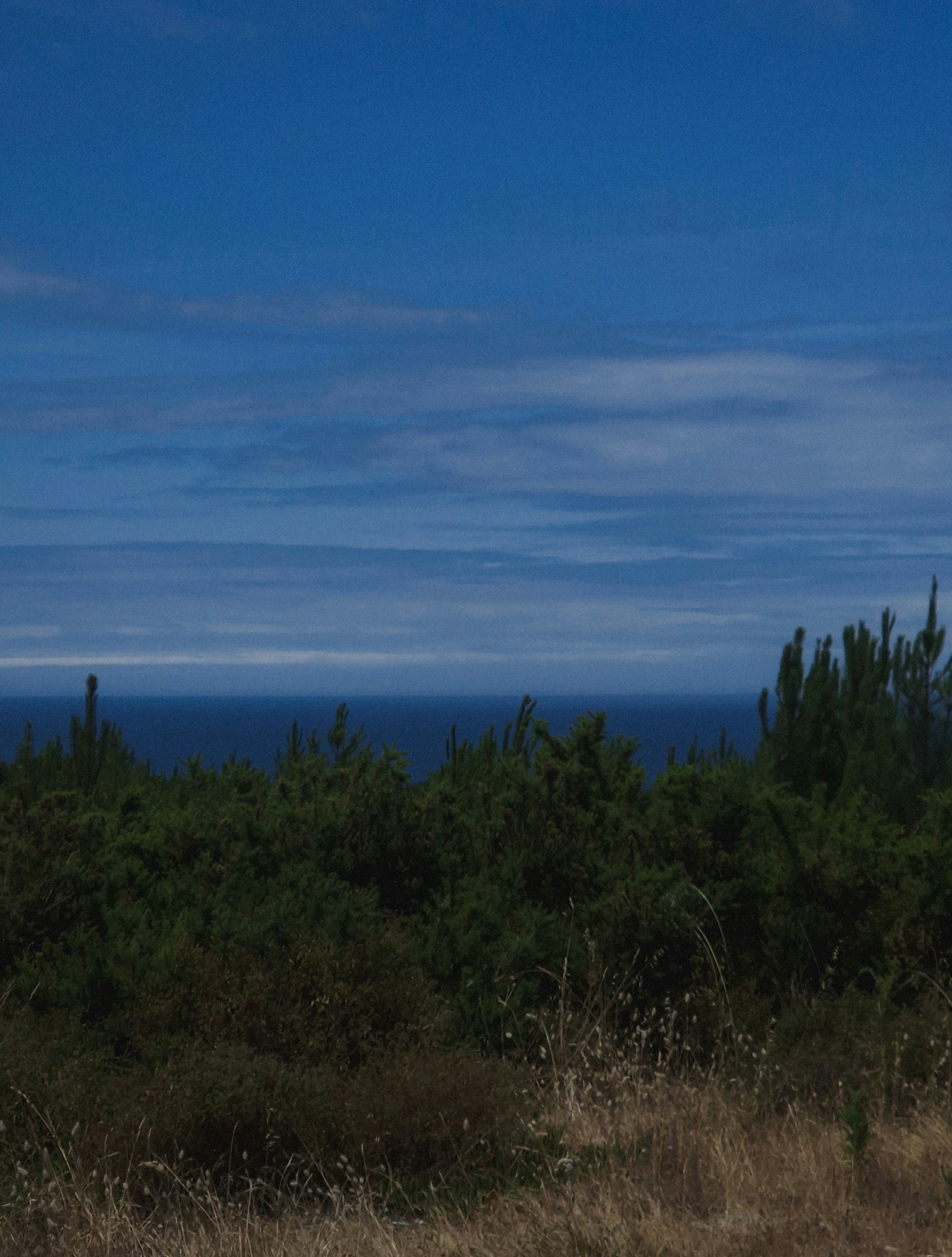 Photo by damian_ochrymowicz