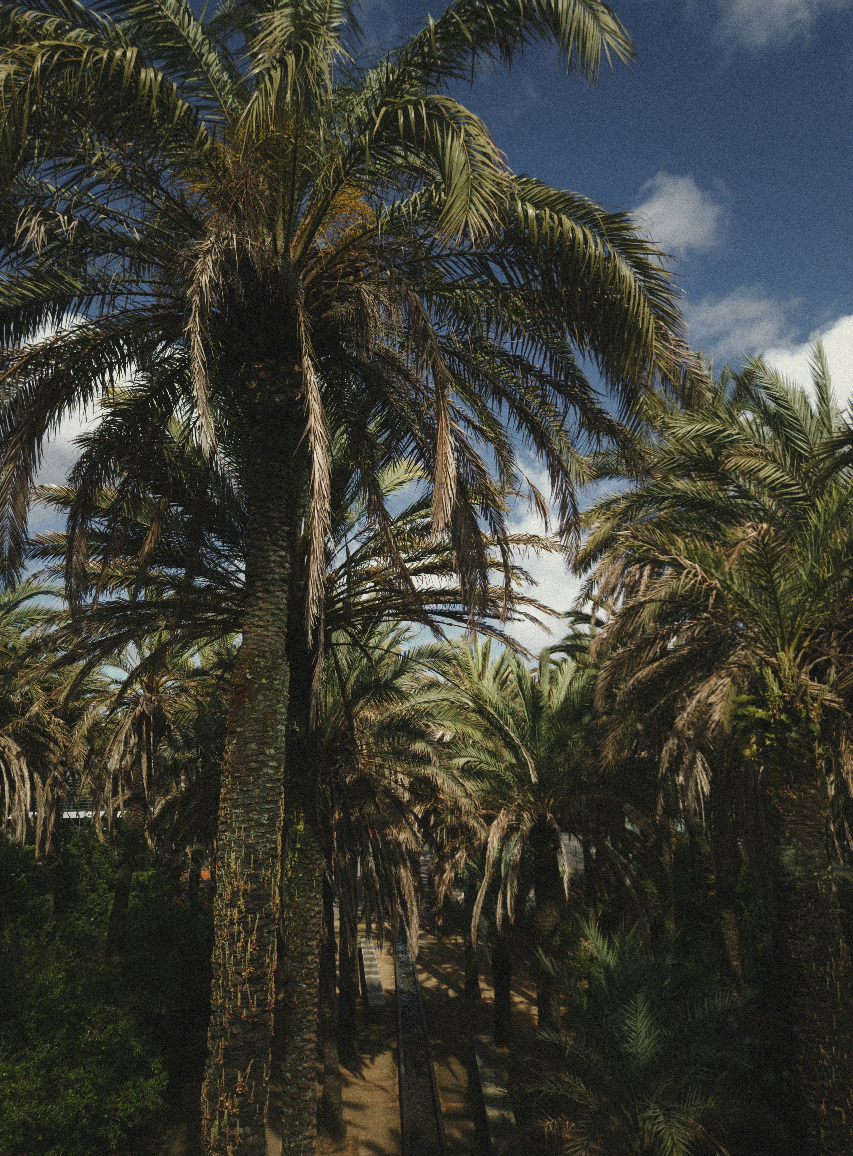 Photo by damian_ochrymowicz