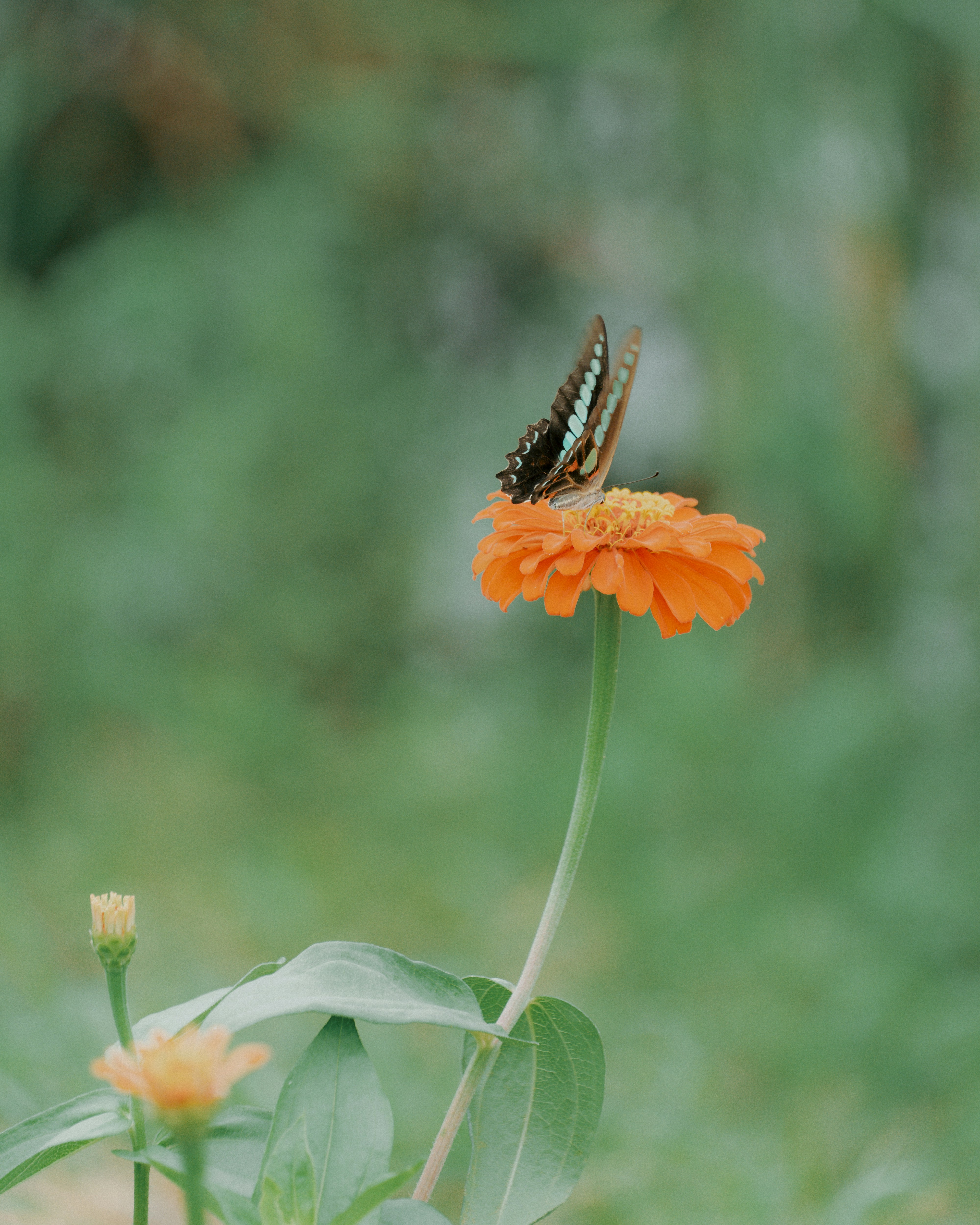 Photo by jackyfish_image