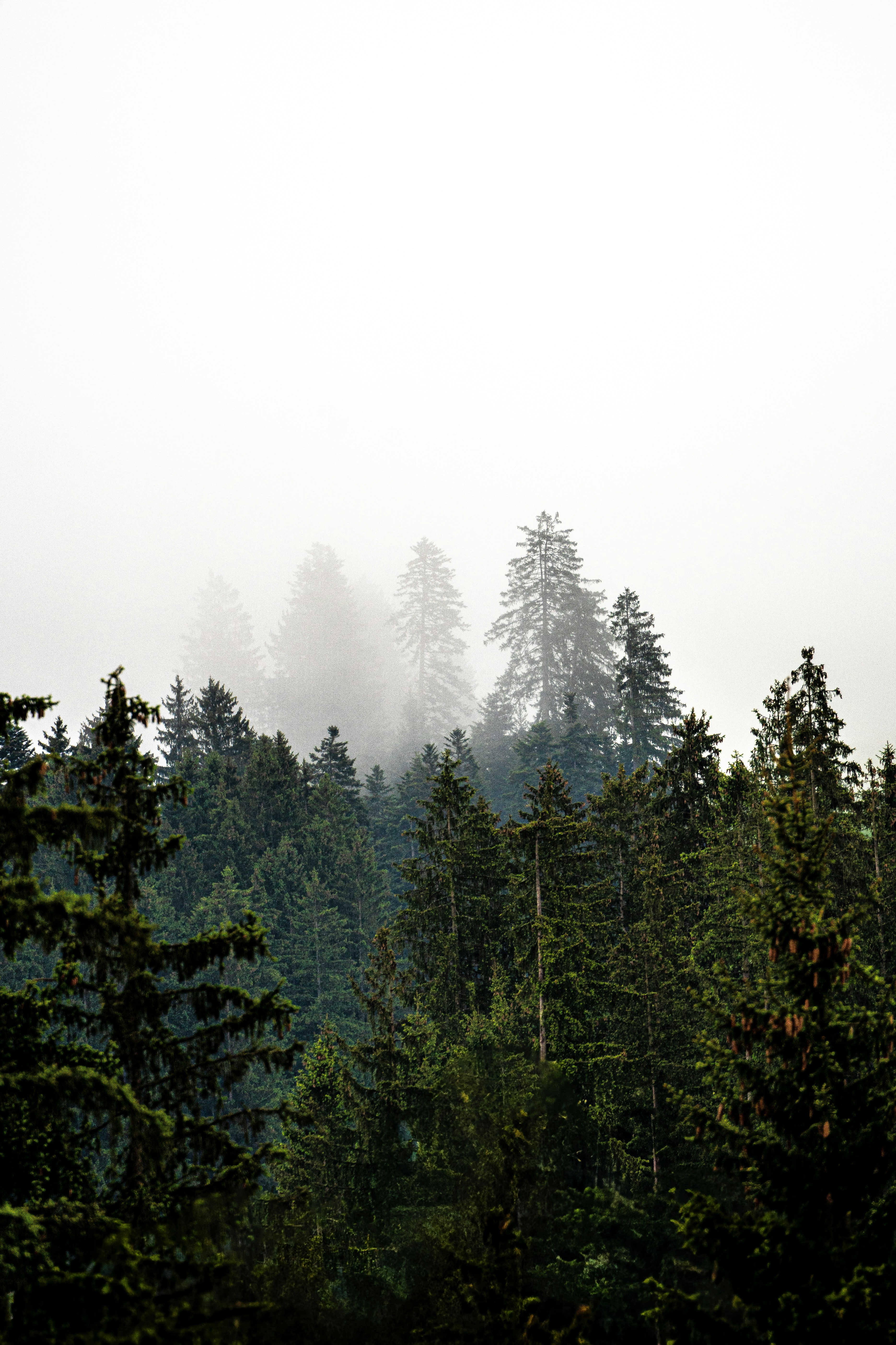 Photo by egalschillerwardichter