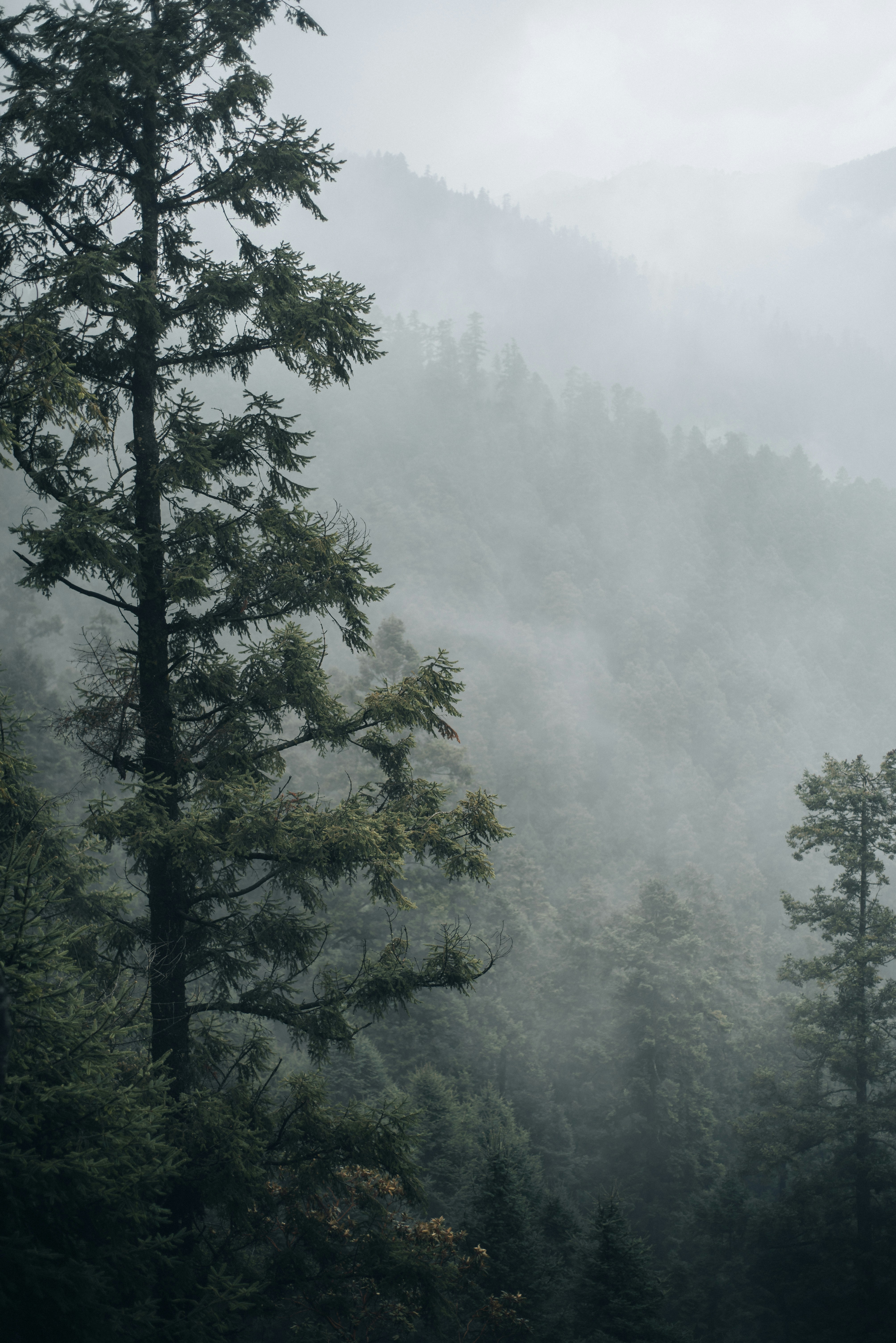 Photo by davidtheodorephotography