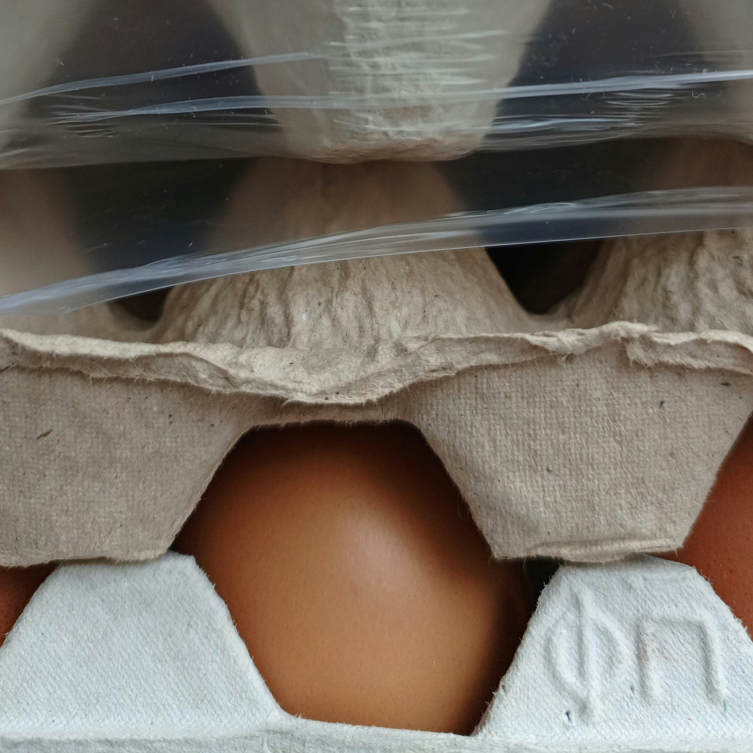 Brown eggs in a cardboard carton