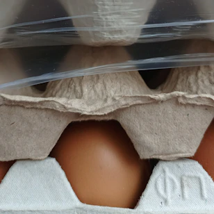 Brown eggs in a cardboard carton
