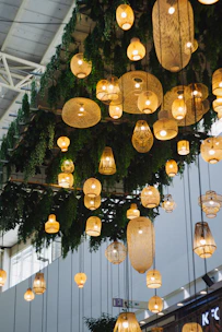 Hanging lanterns and greenery decorate a ceiling