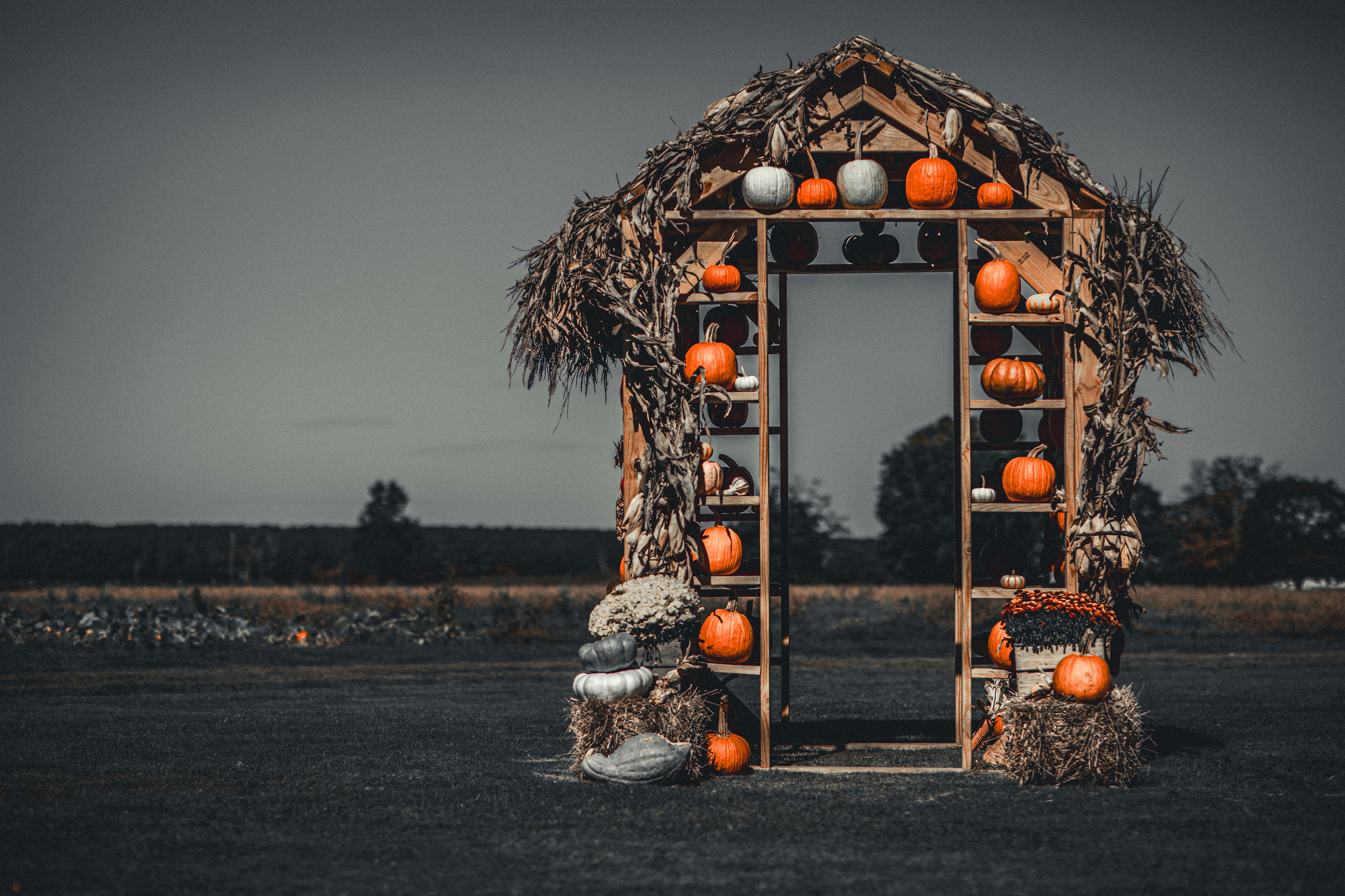 Rustic wooden archway decorated with pumpkins and gourds