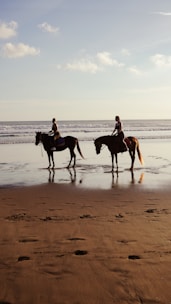 Two people riding horses on a wet sandy beach.