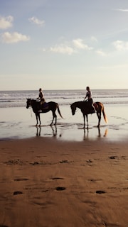 Two people riding horses on a wet sandy beach.