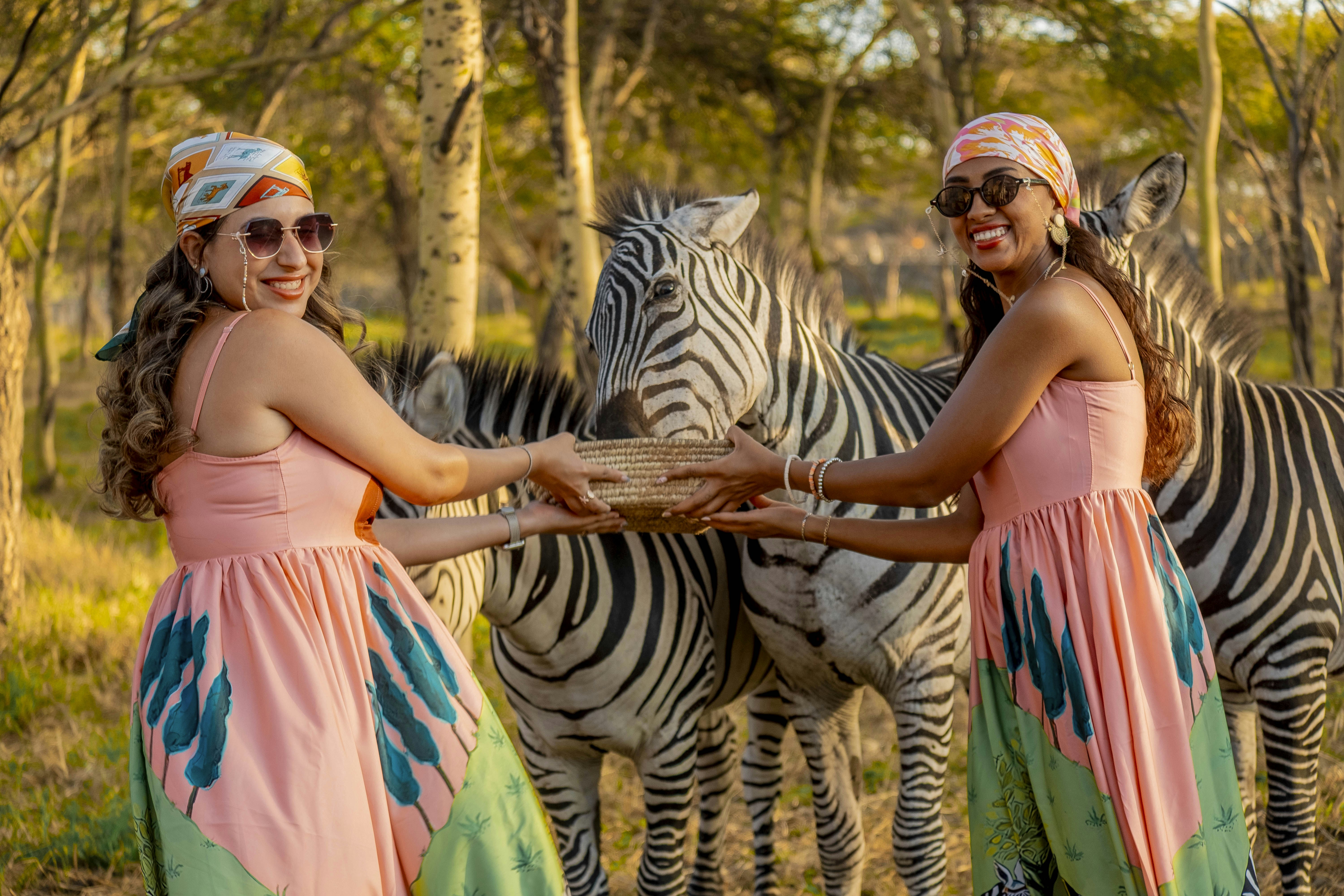 Two women in matching dresses feed zebras