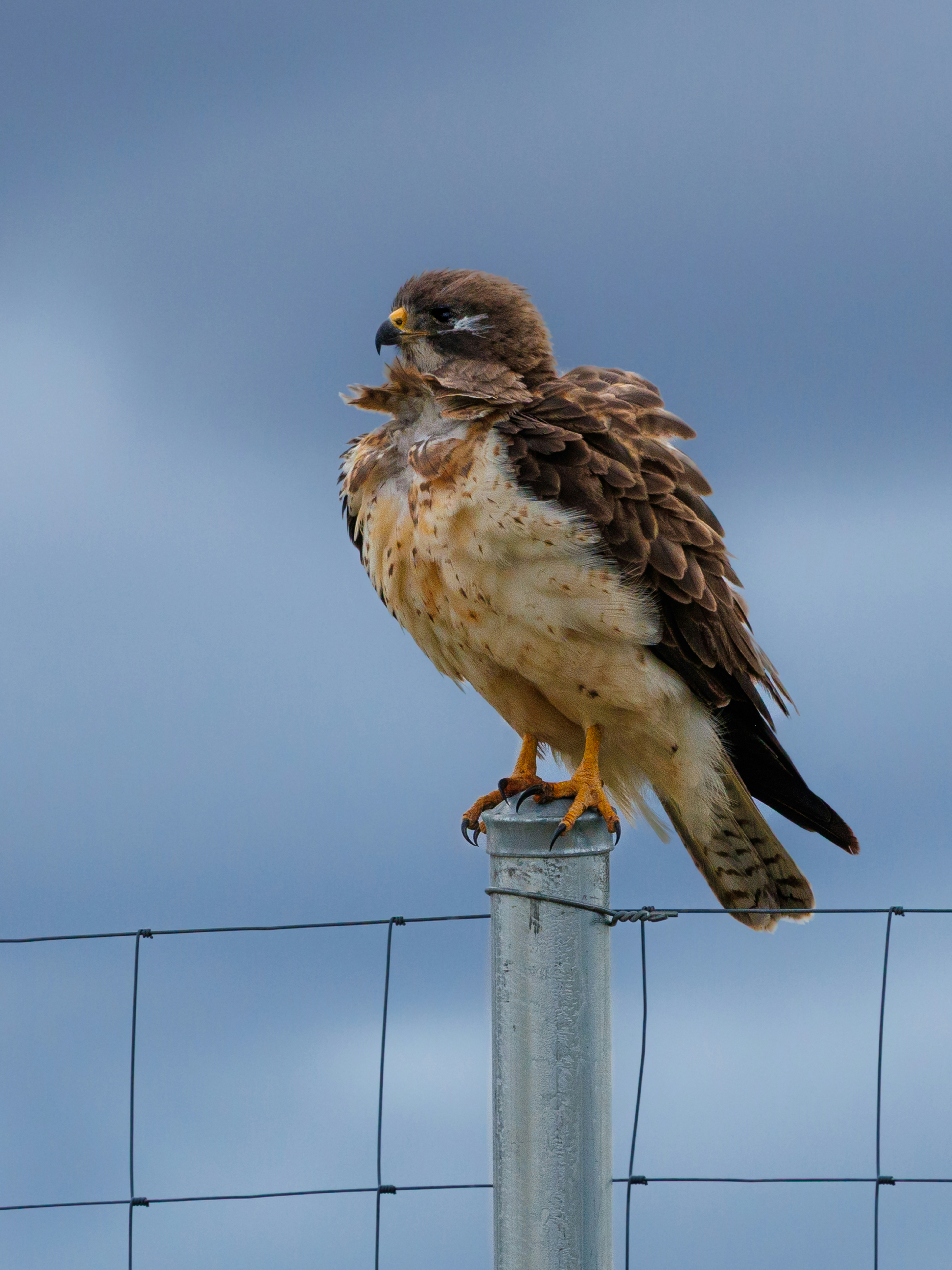 Photo by mikeschultz622