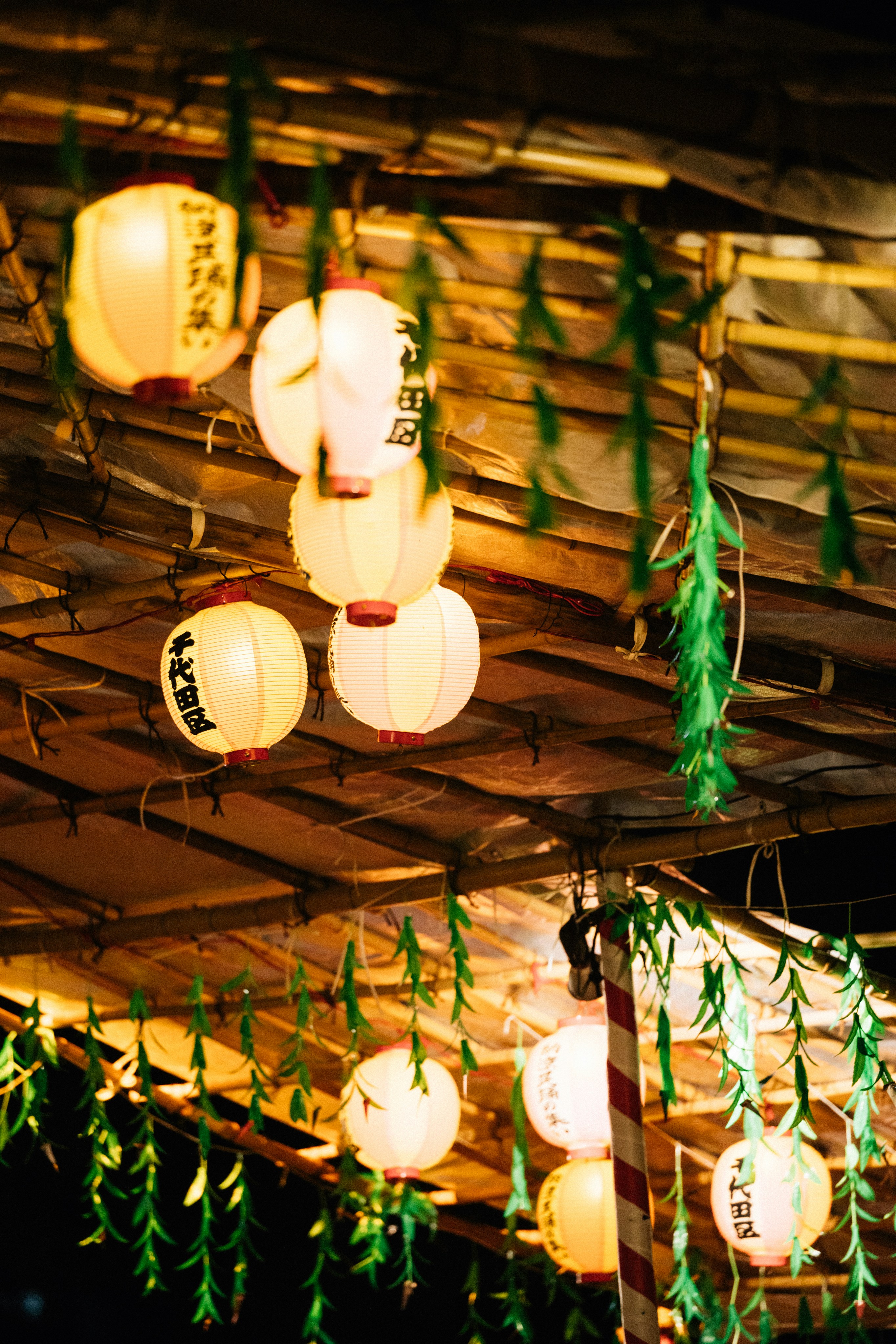 Photo by tsuyoshikozu