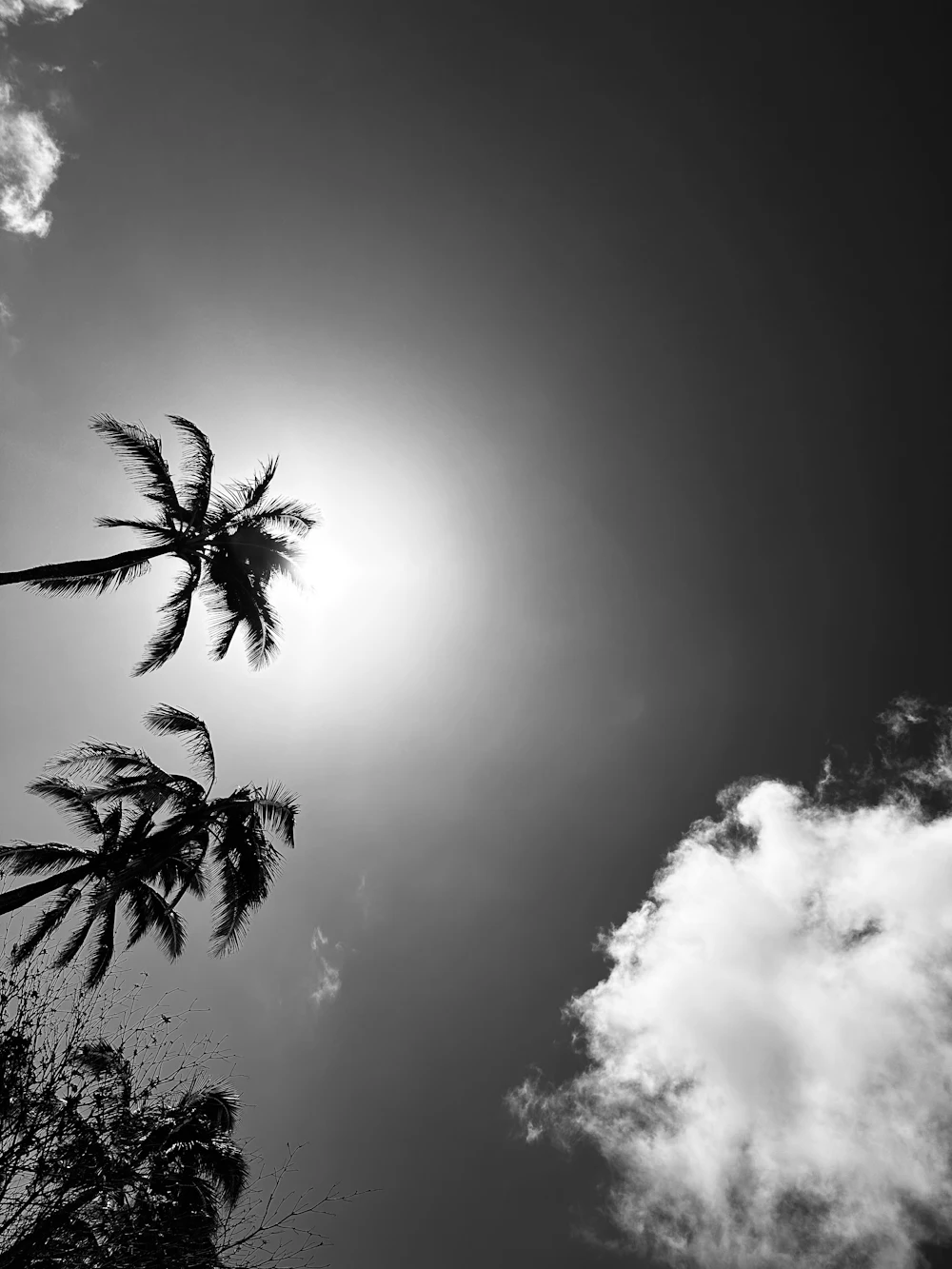 Paysage tropical d'Asie du Sud-Est en saison sèche