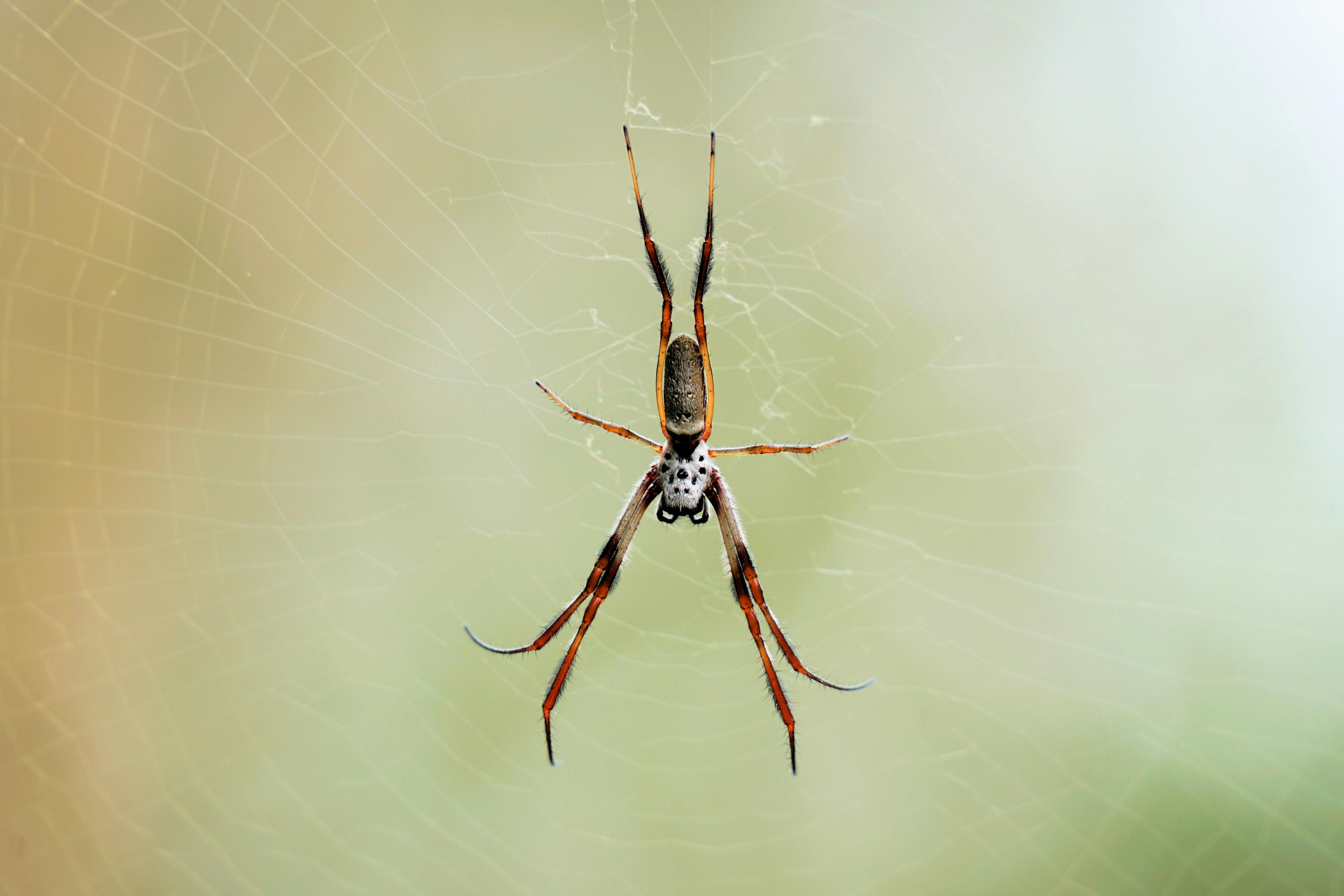 Photo by spiritland_net