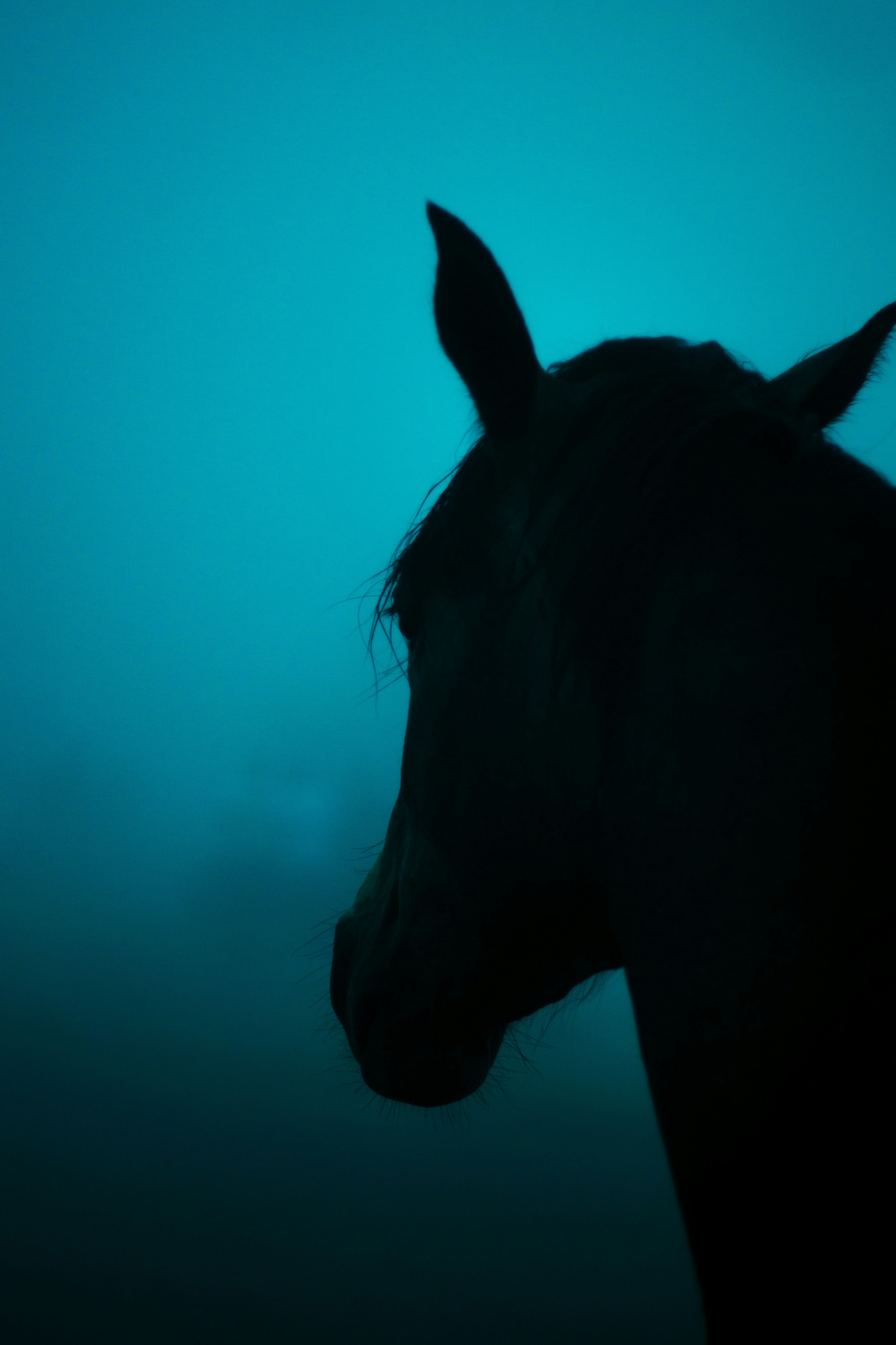 Nightmares of an Acupuncturist