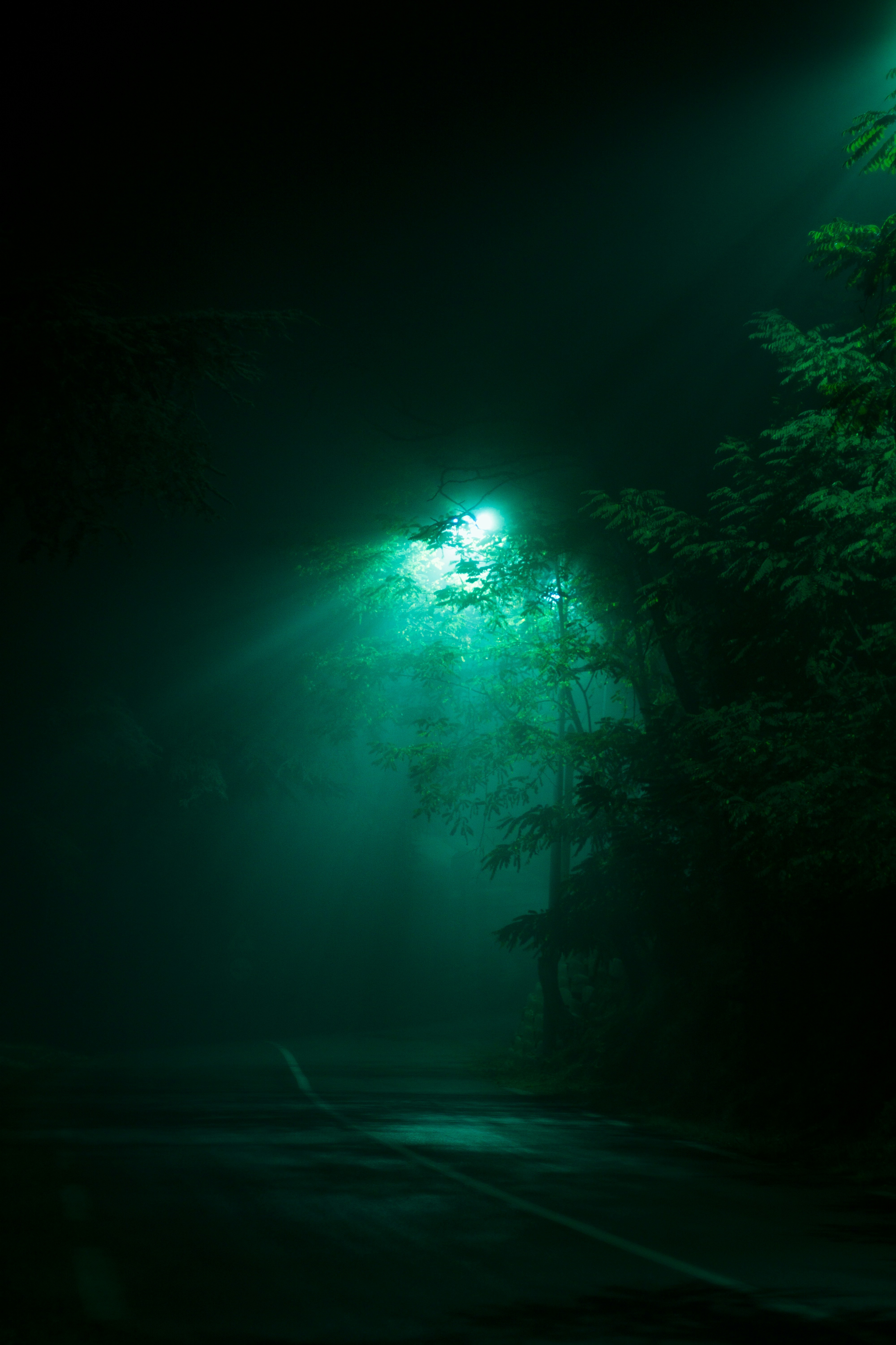 Photo by fethibenattallah