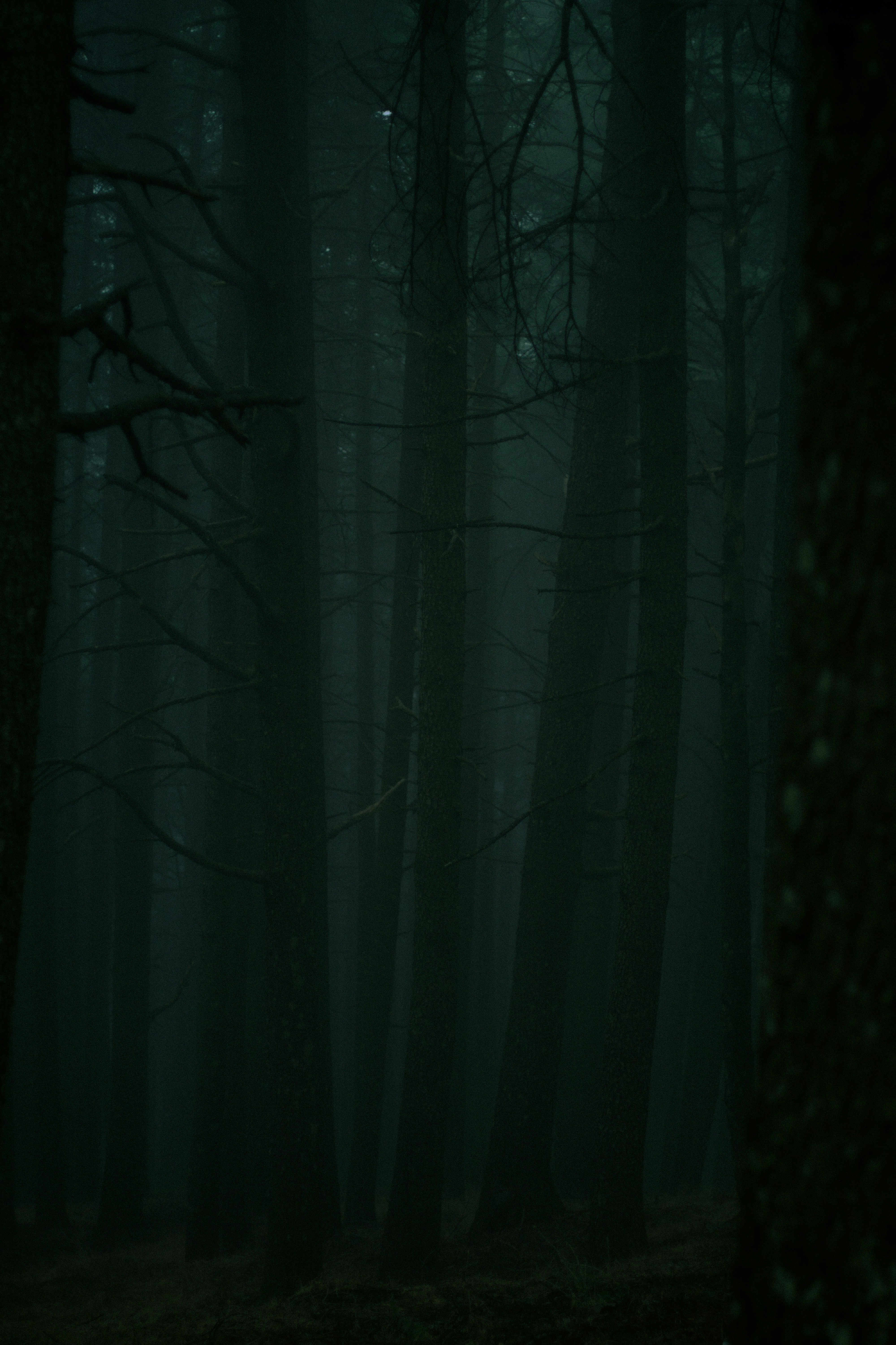 Photo by fethibenattallah