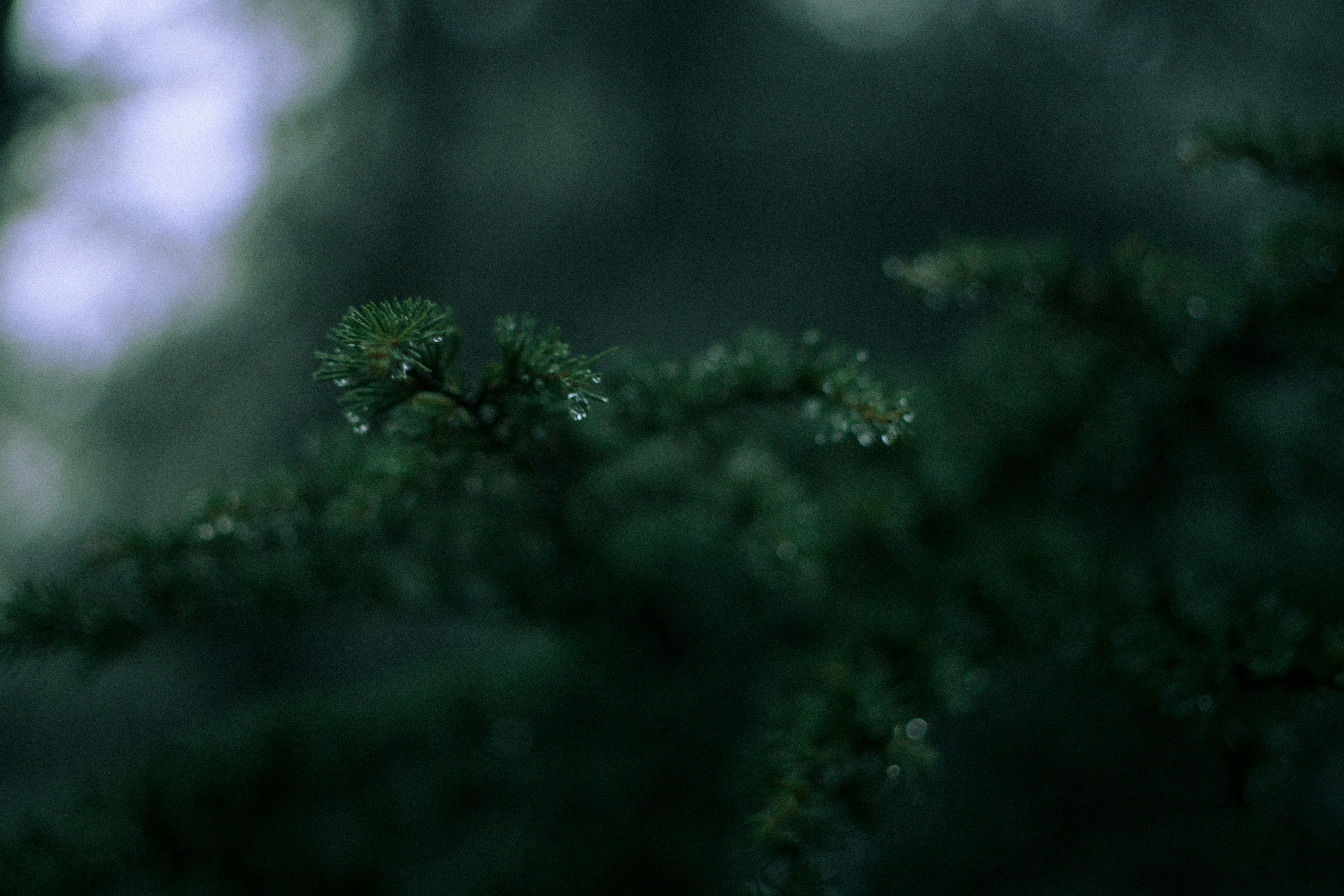 Photo by fethibenattallah