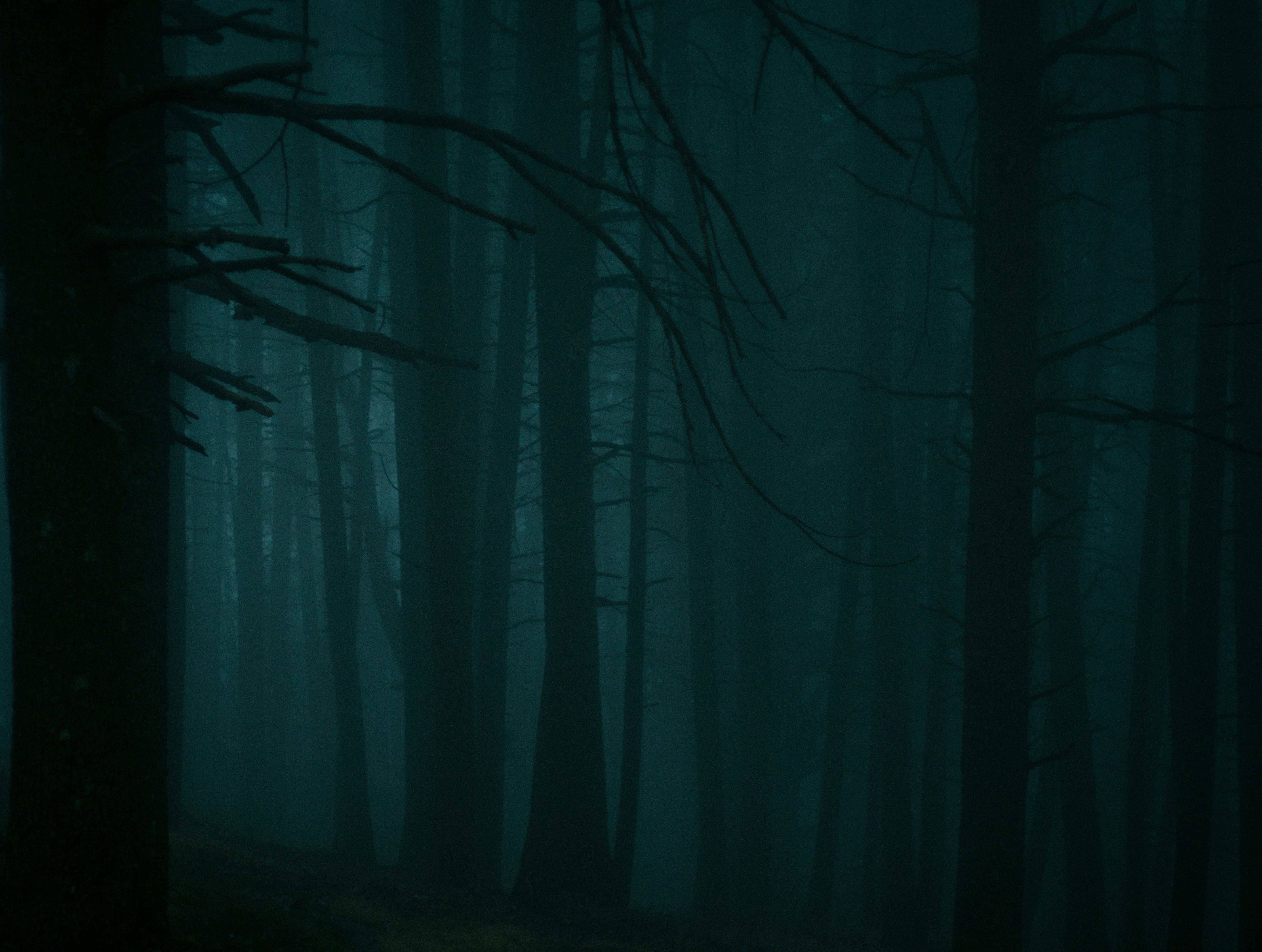 Photo by fethibenattallah