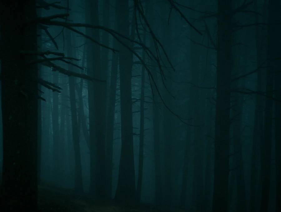Dark misty forest with a mysterious path