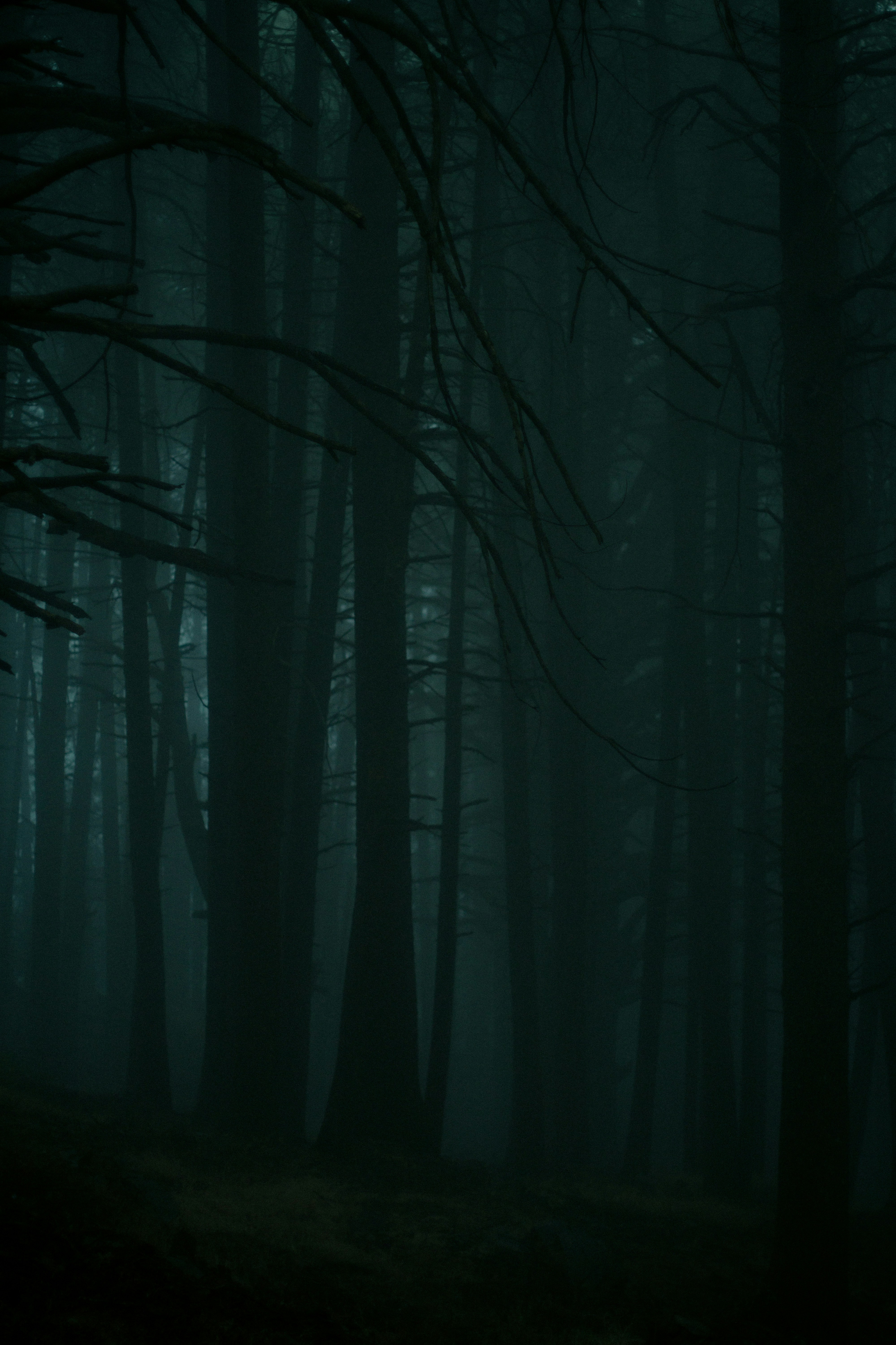 Photo by fethibenattallah