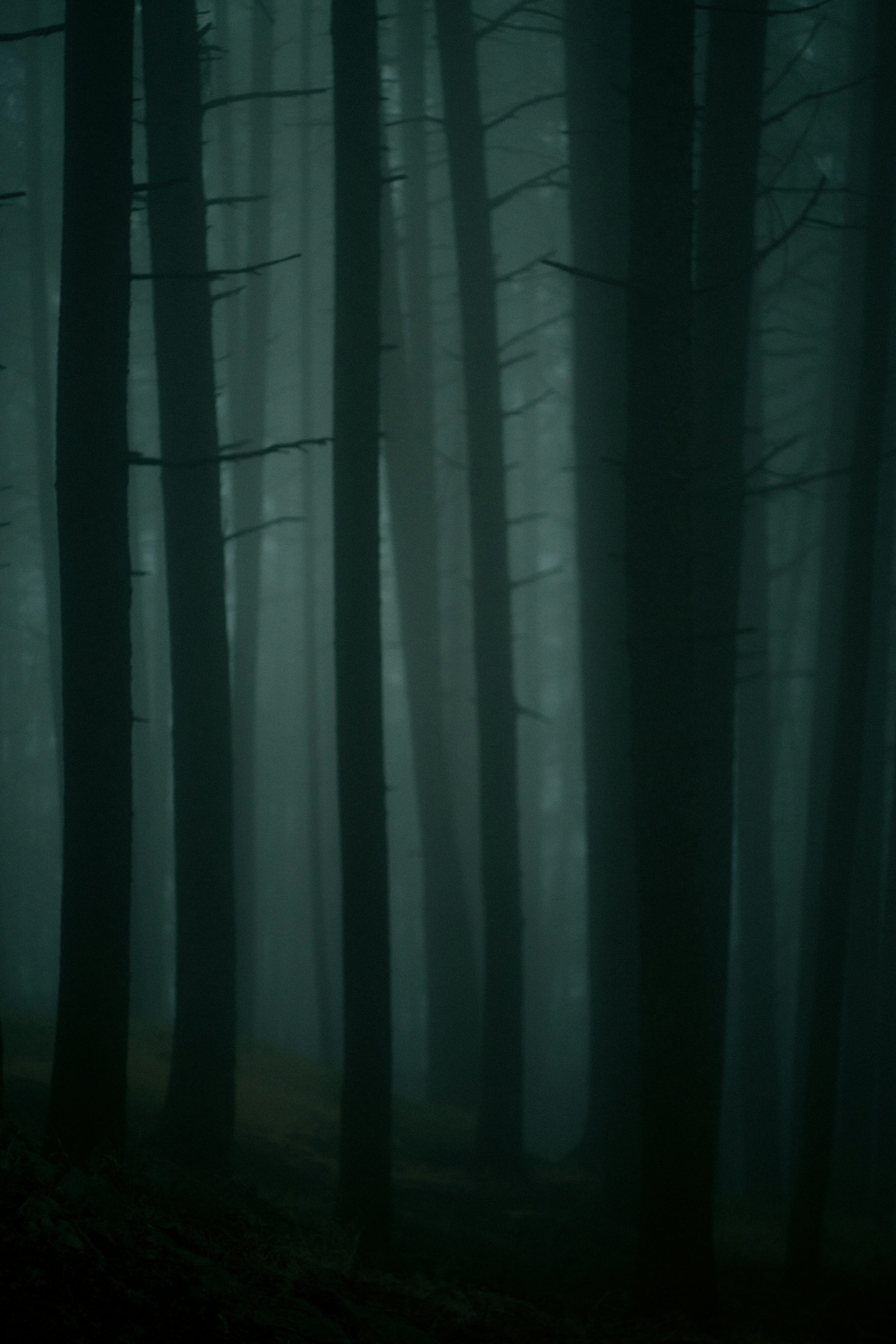 Photo by fethibenattallah