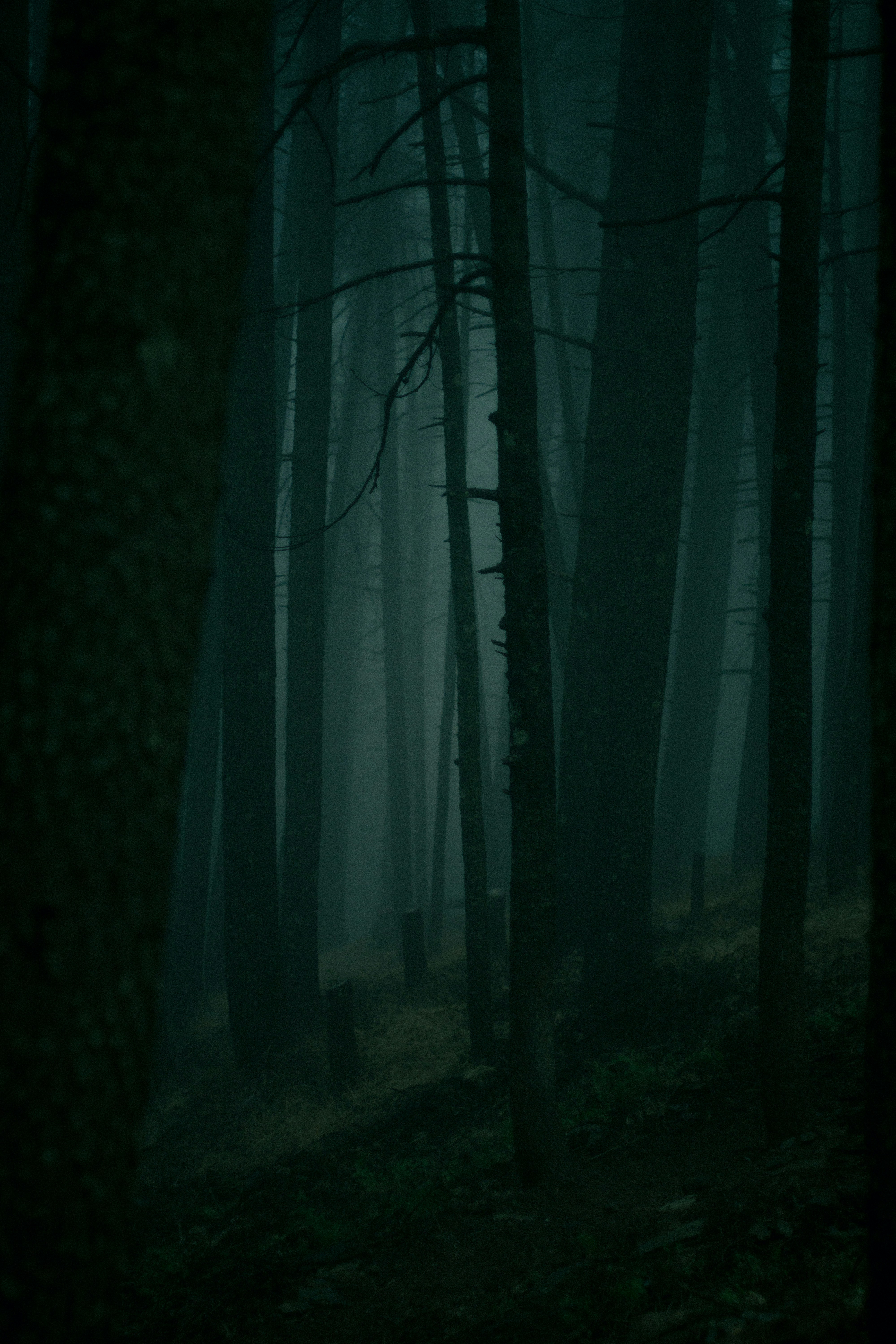 Photo by fethibenattallah