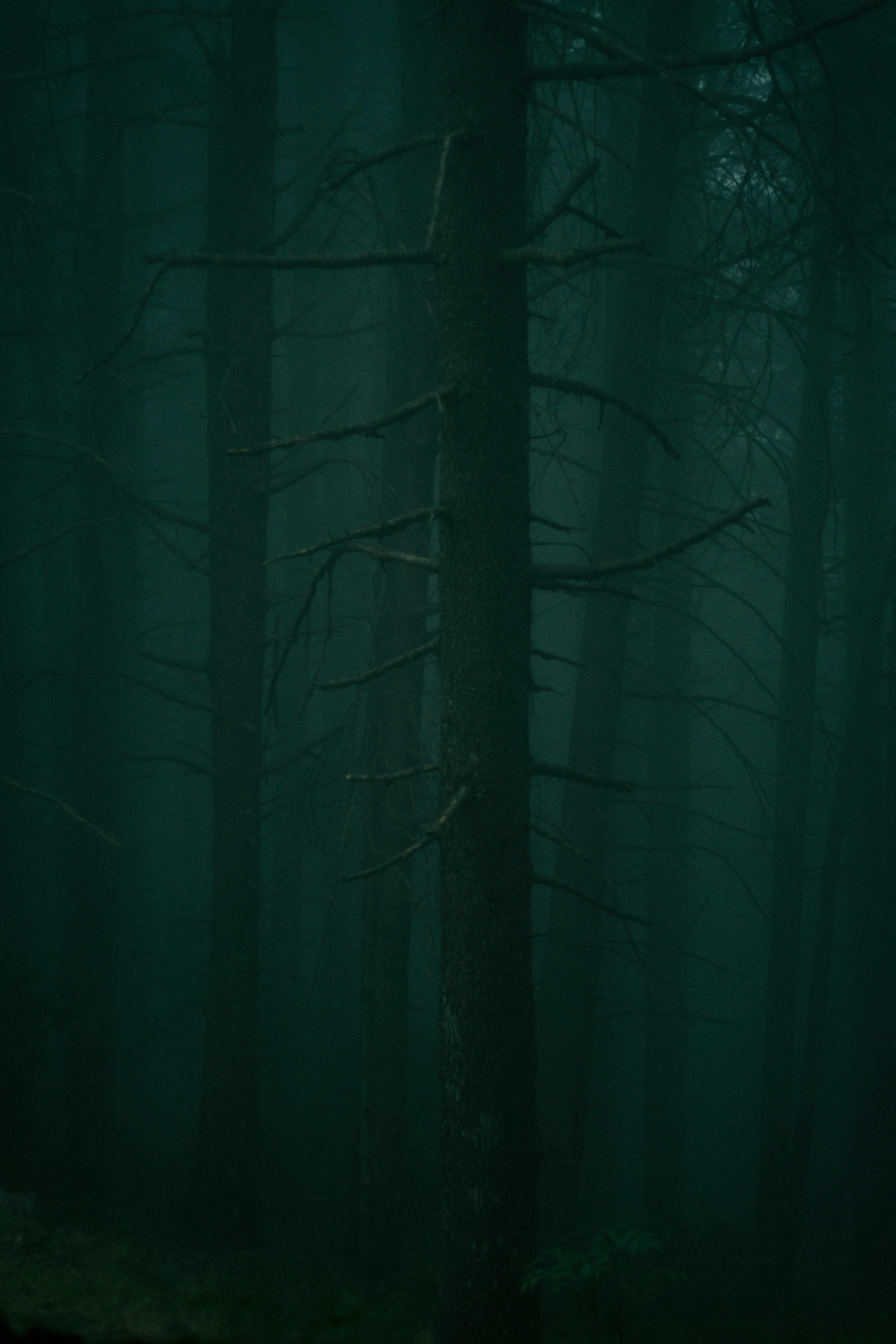 Photo by fethibenattallah