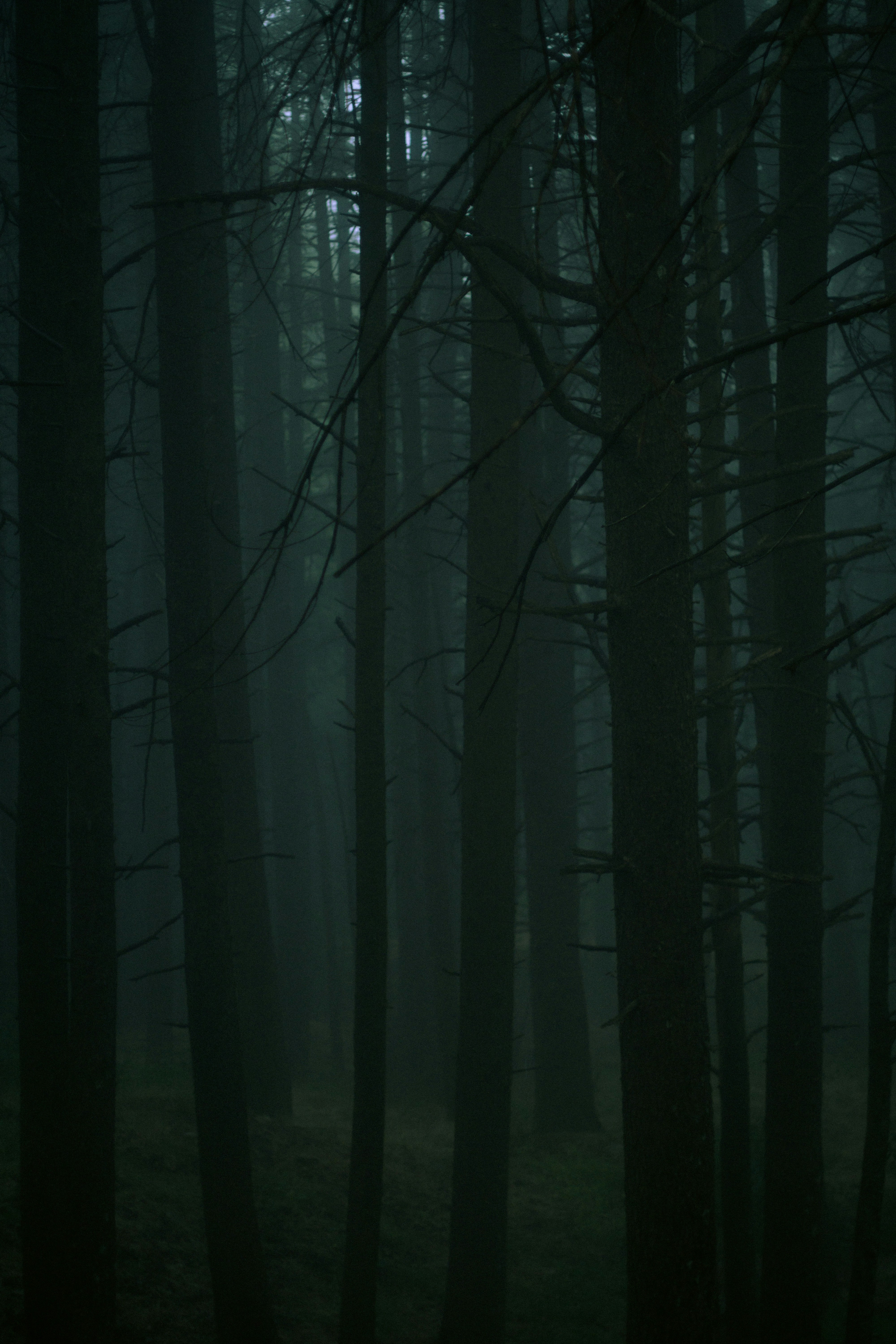 Photo by fethibenattallah