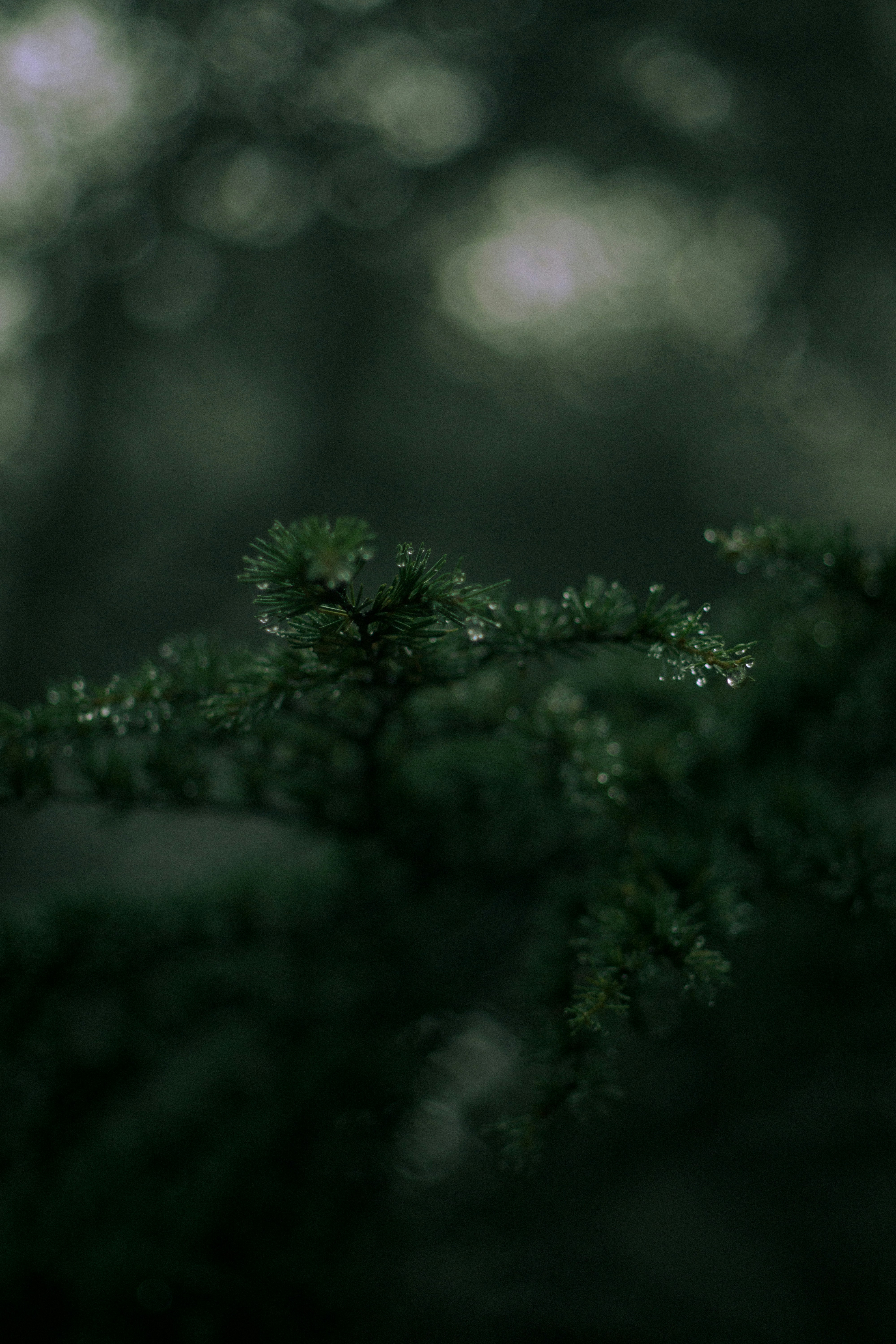 Photo by fethibenattallah