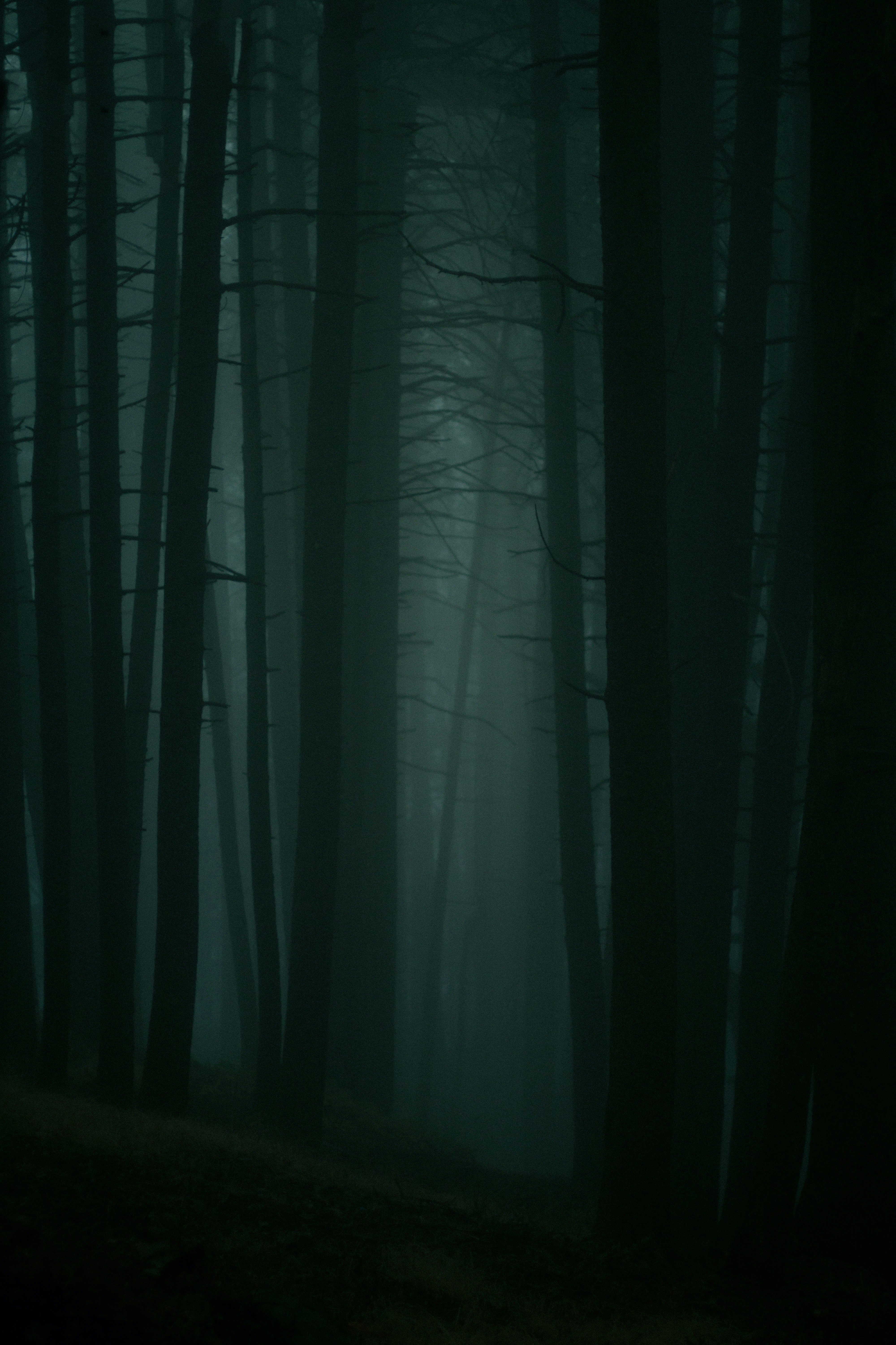 Photo by fethibenattallah