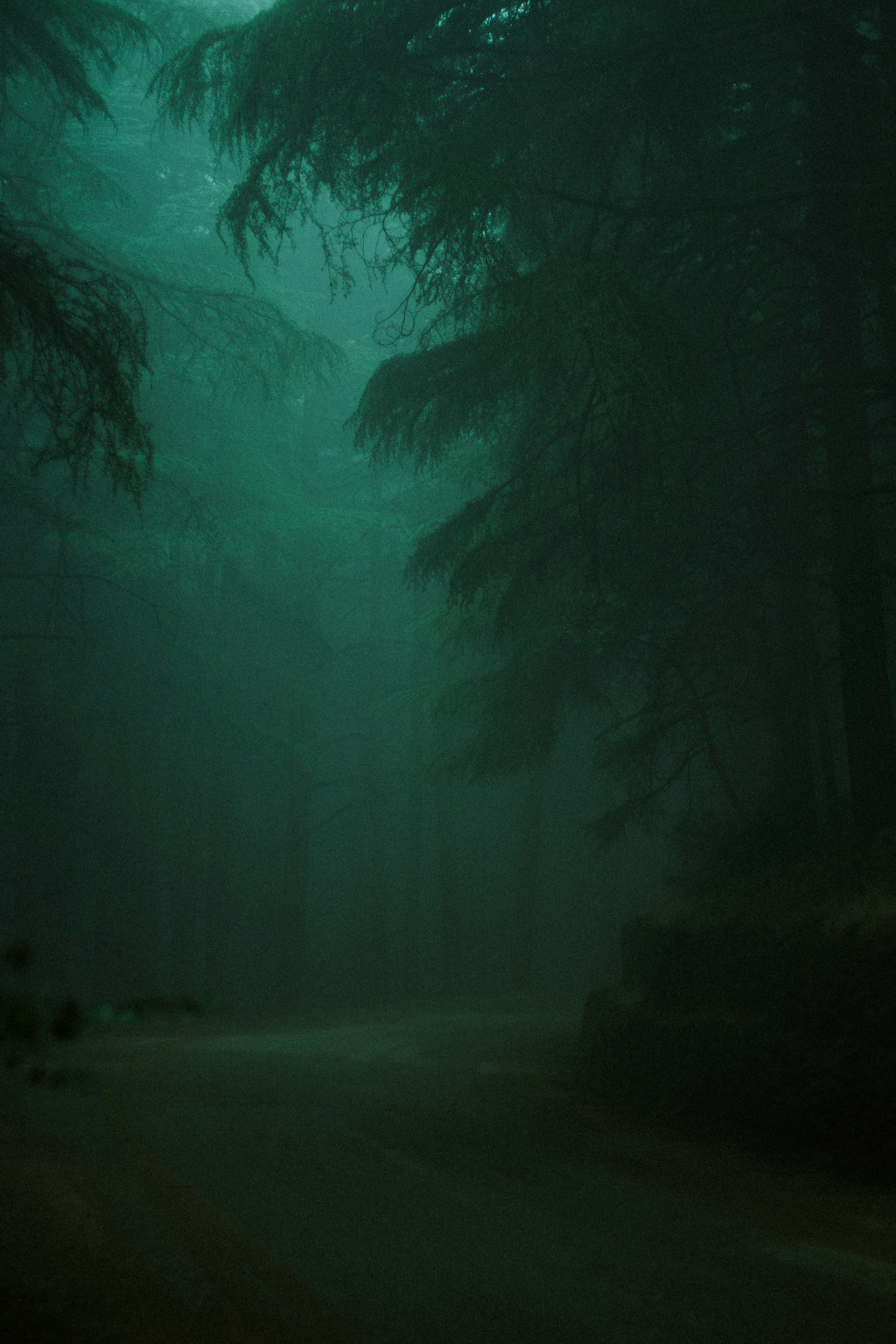 Photo by fethibenattallah