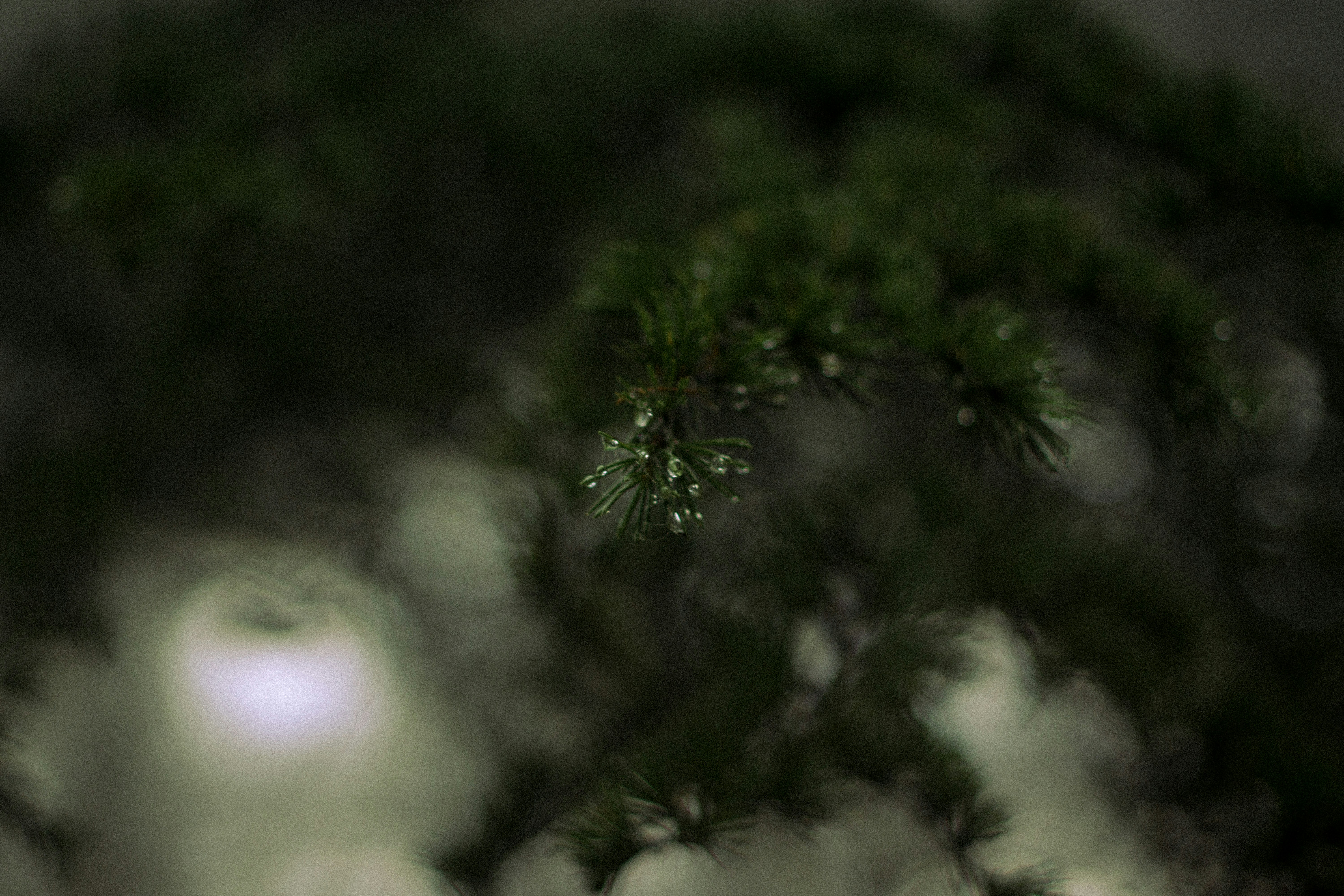 Photo by fethibenattallah