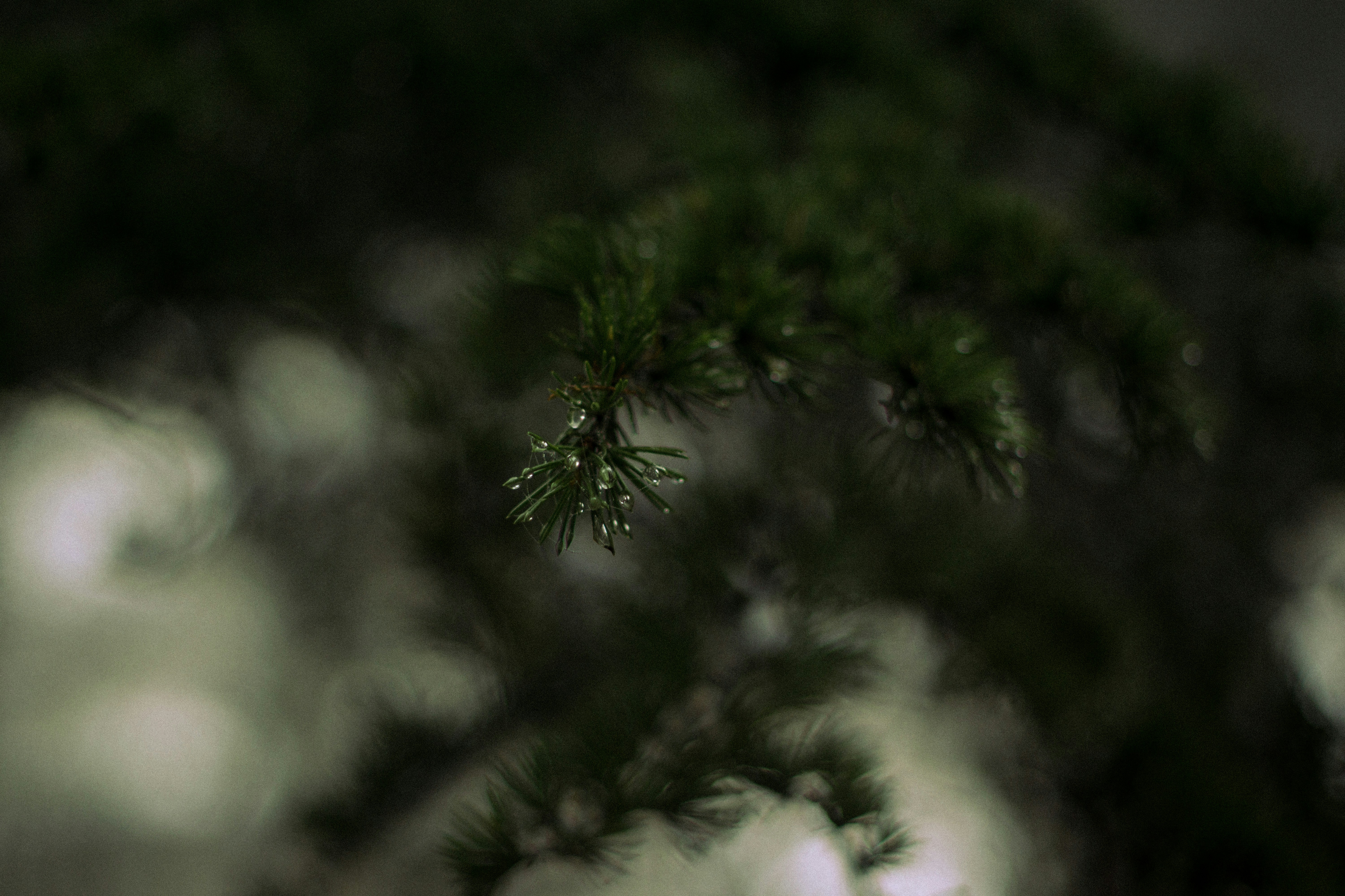 Photo by fethibenattallah