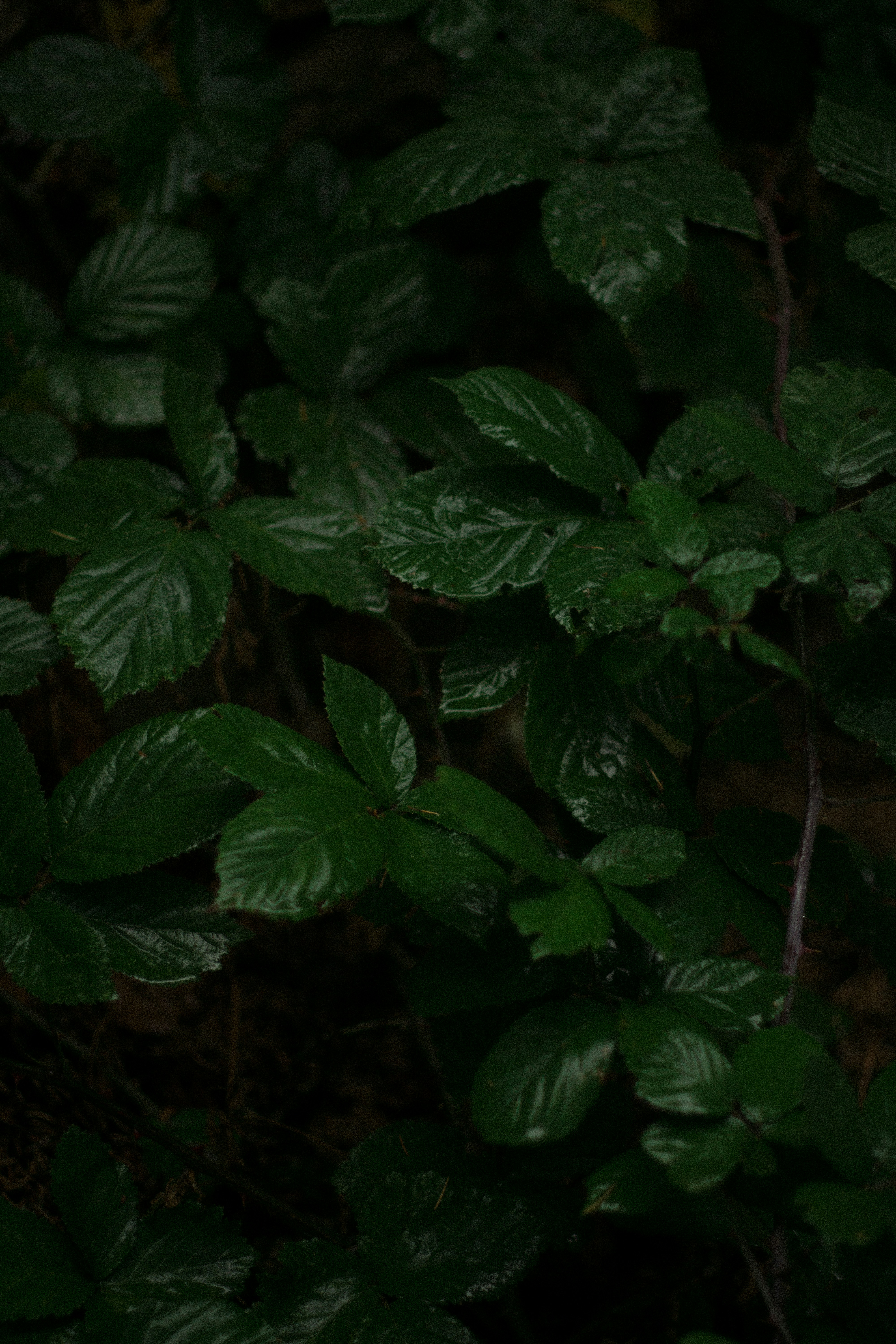 Photo by fethibenattallah