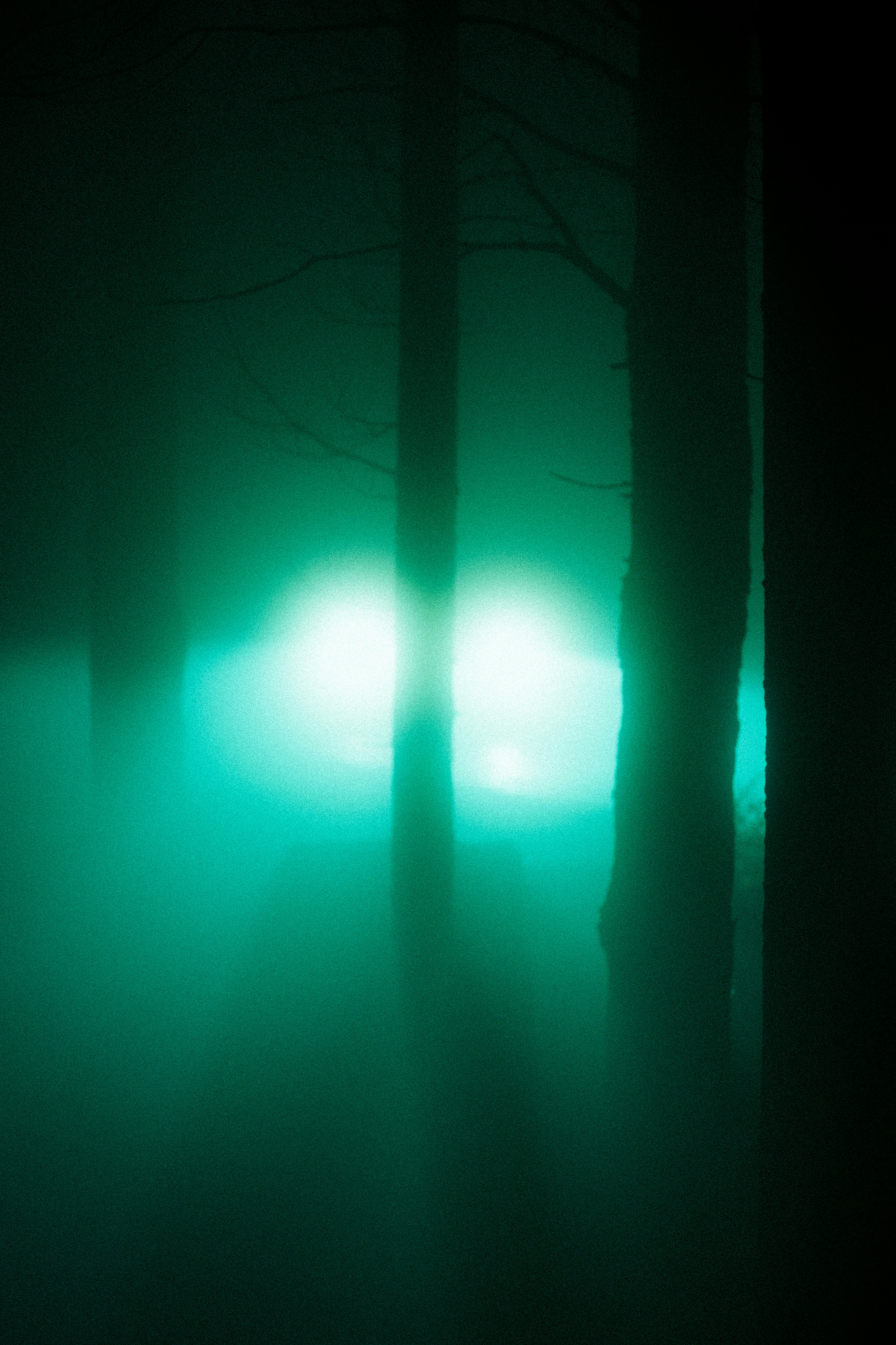 Photo by fethibenattallah