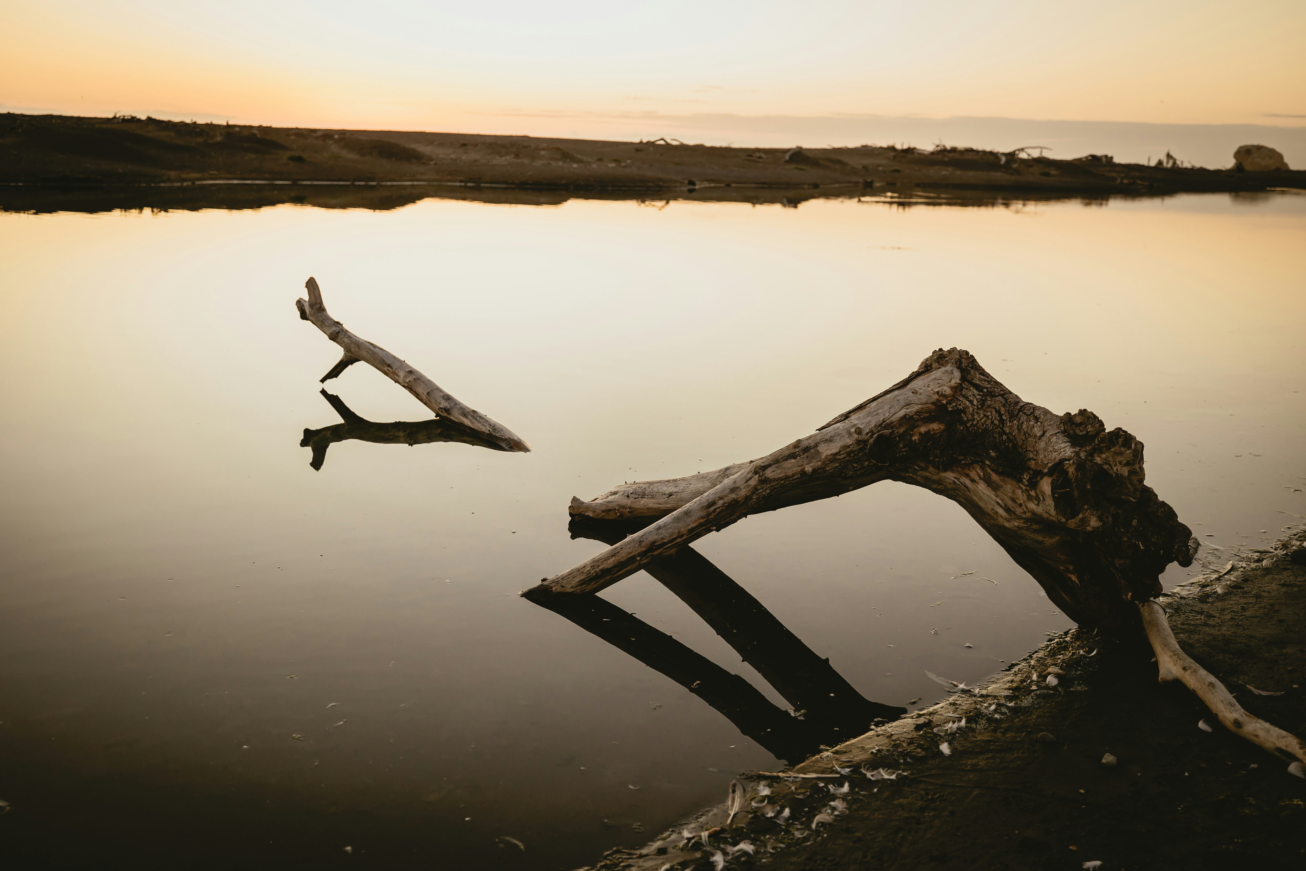 Treibholz in ruhigem Wasser bei Sonnenuntergang