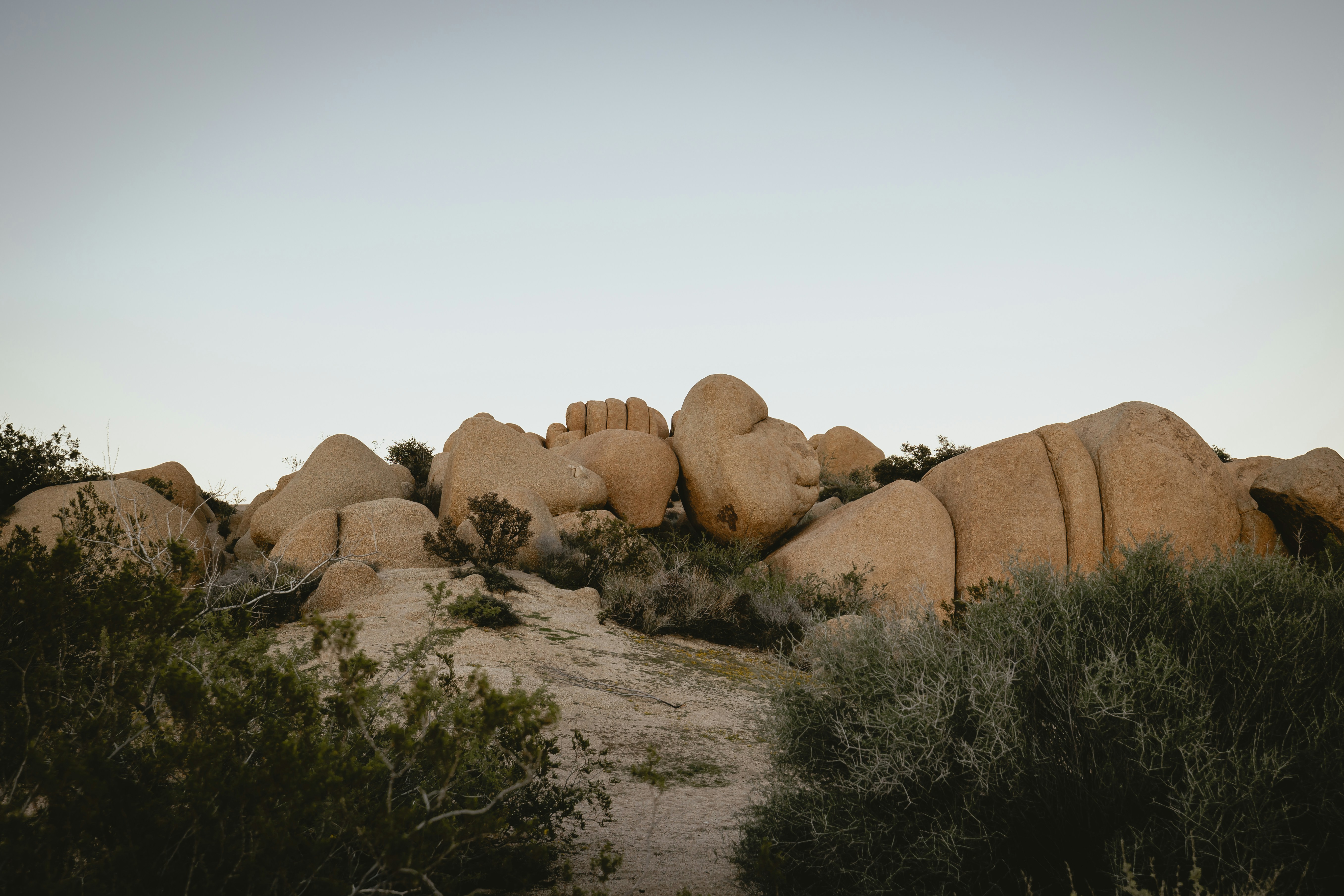 Photo by lighttouchedphotography